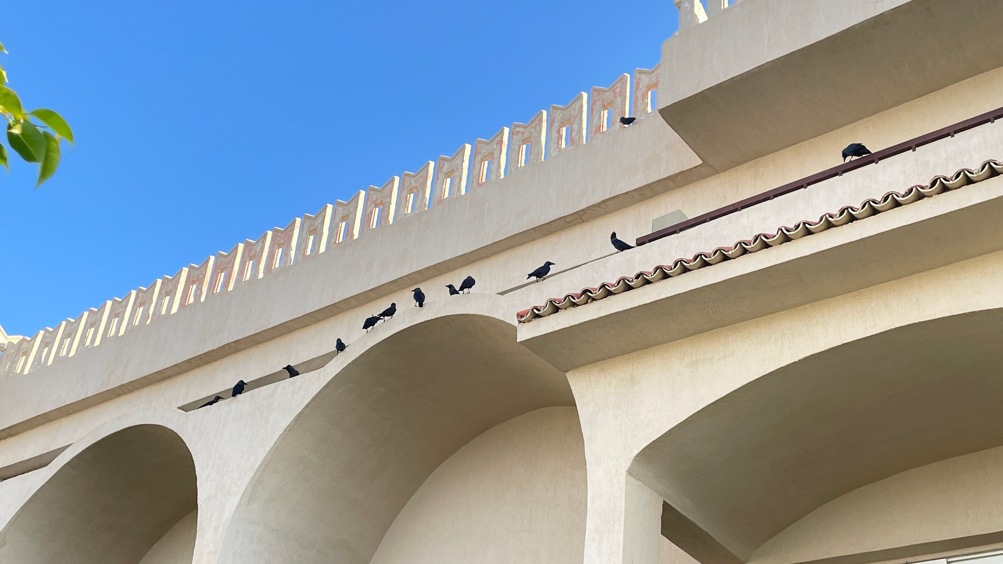 Фото Pickalbatros Royal Moderna Resort