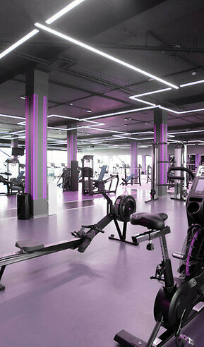 Coaching Susan Poeder, Dubai, photo