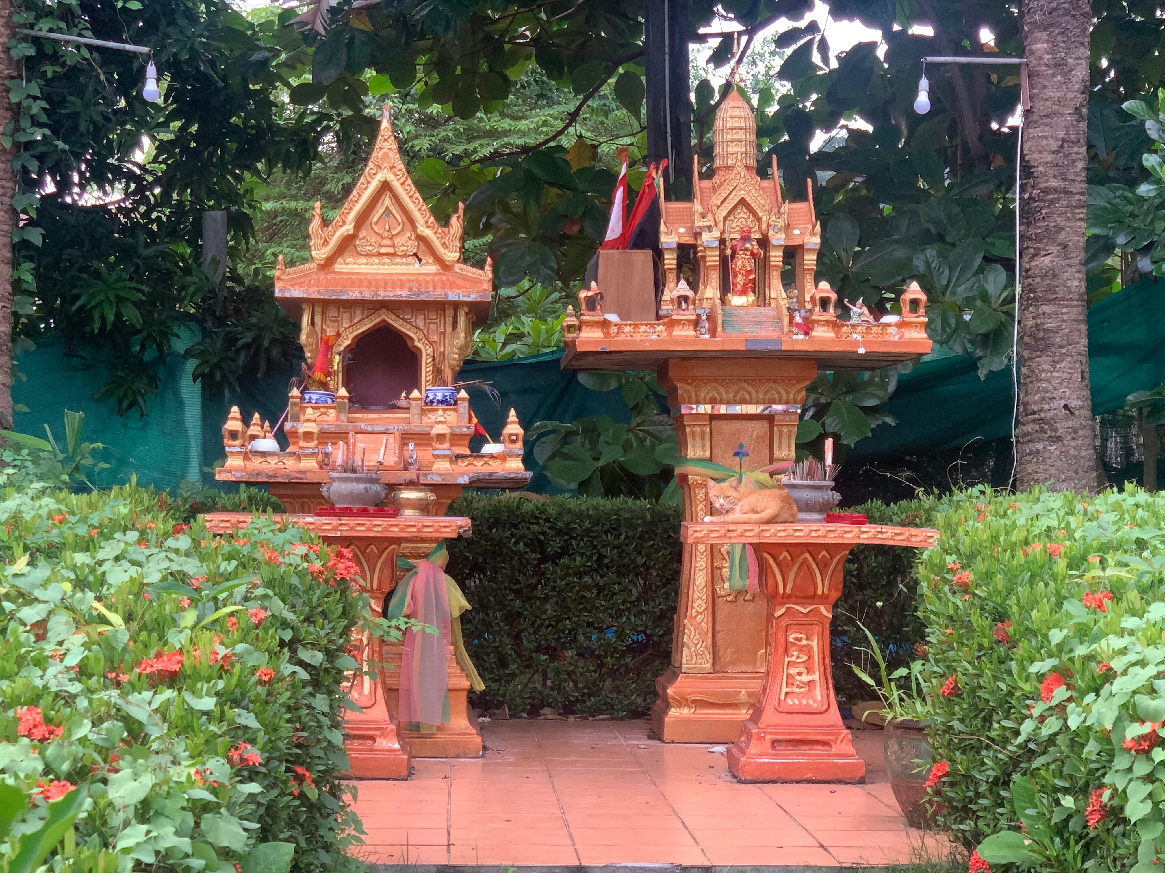 Фото Coconut Beach Resort