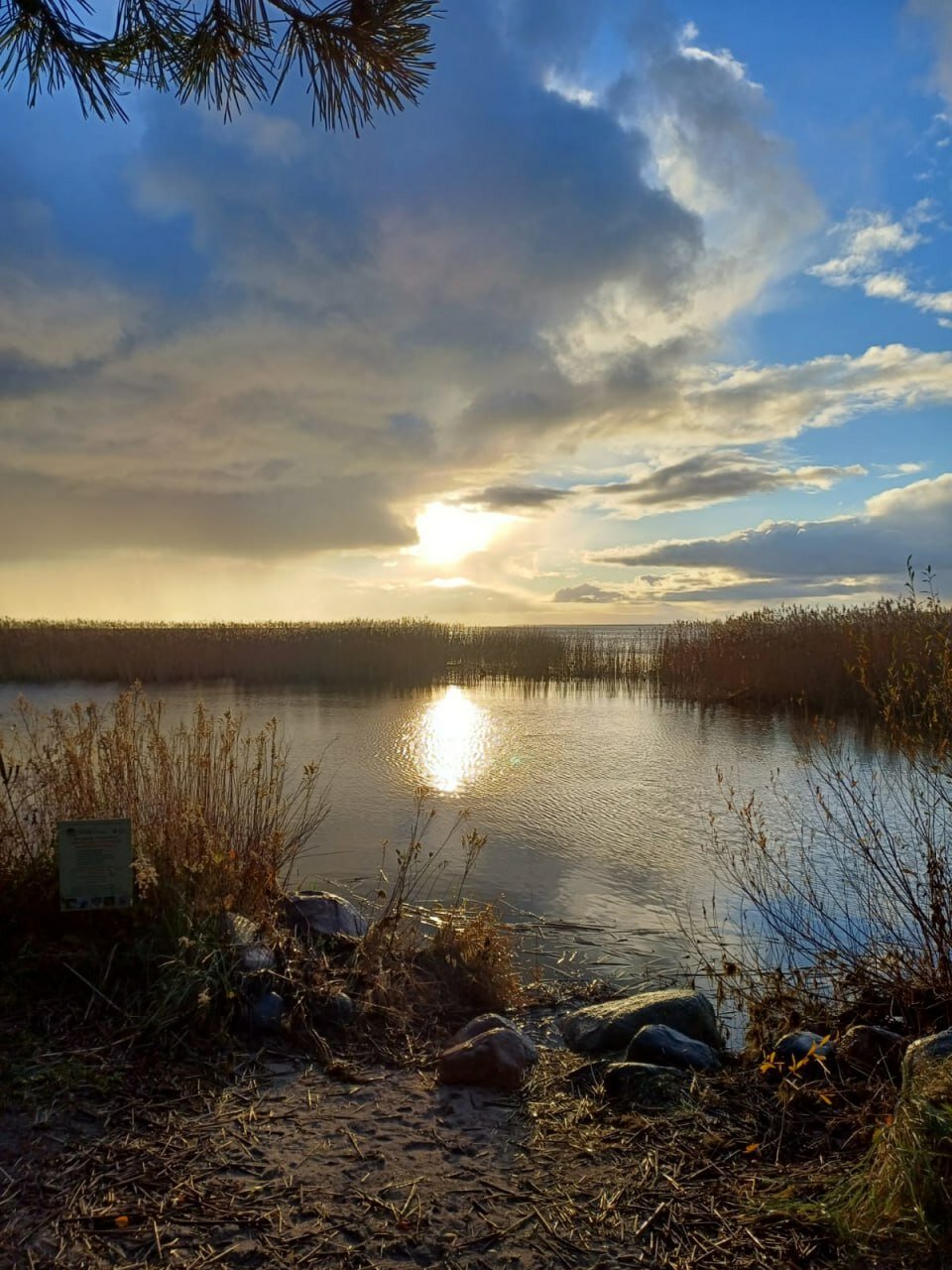 Фото Куршале