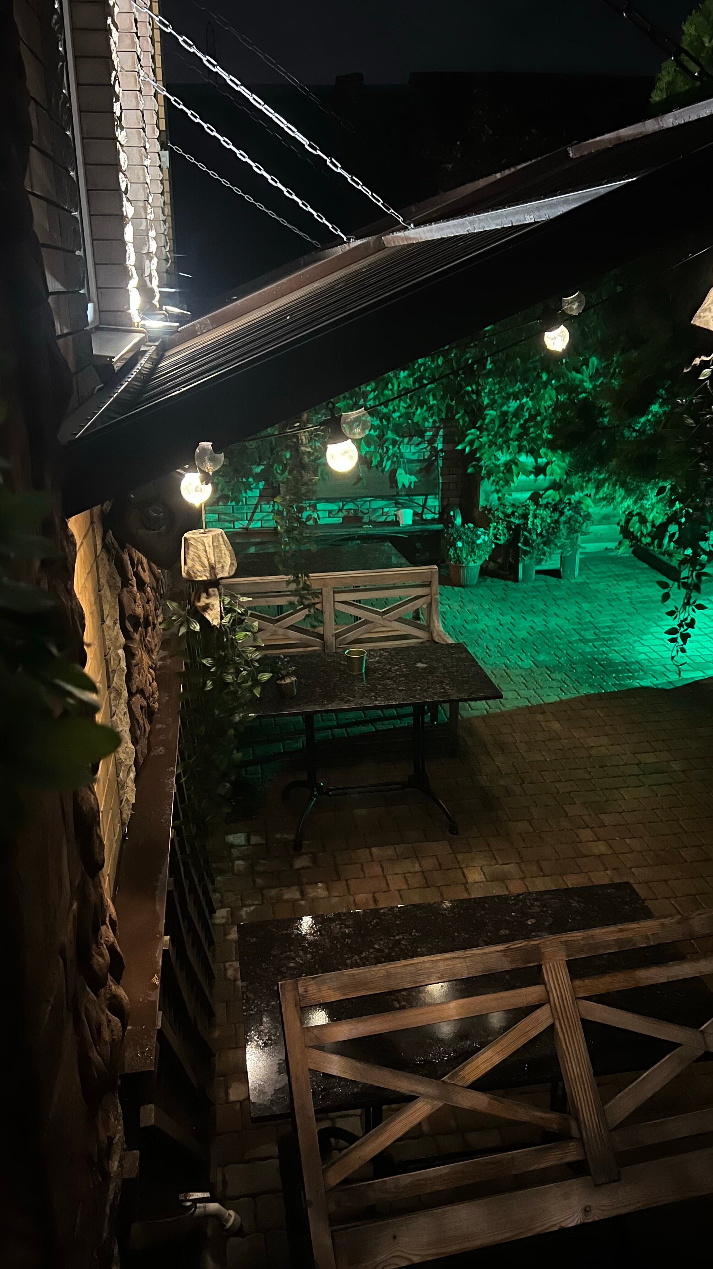 Фото Честный Чехов