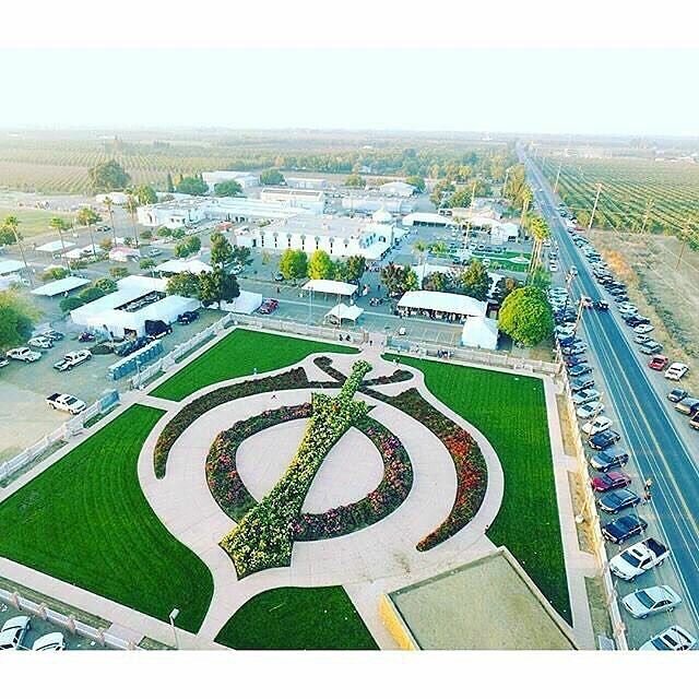 Landscape design Green Concept Landscape & Irrigation Services, Dubai, photo