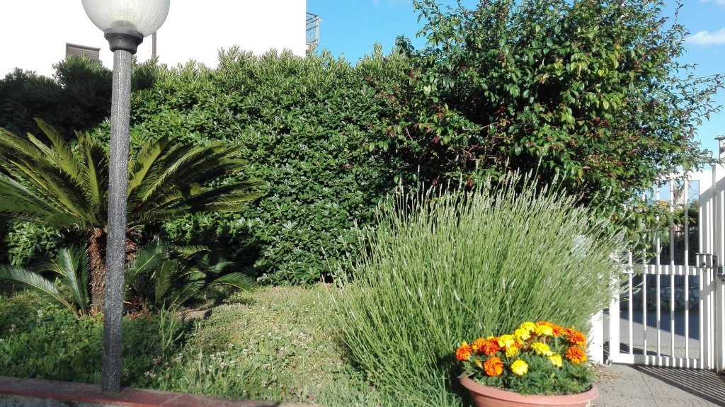 Фото Camere Riviera di Ulisse