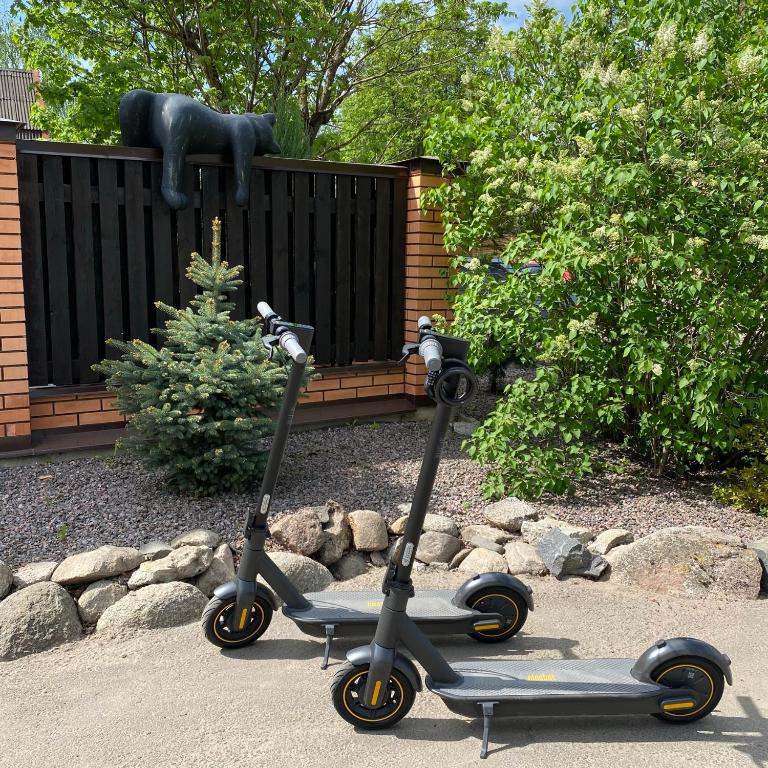 Фото Три кота