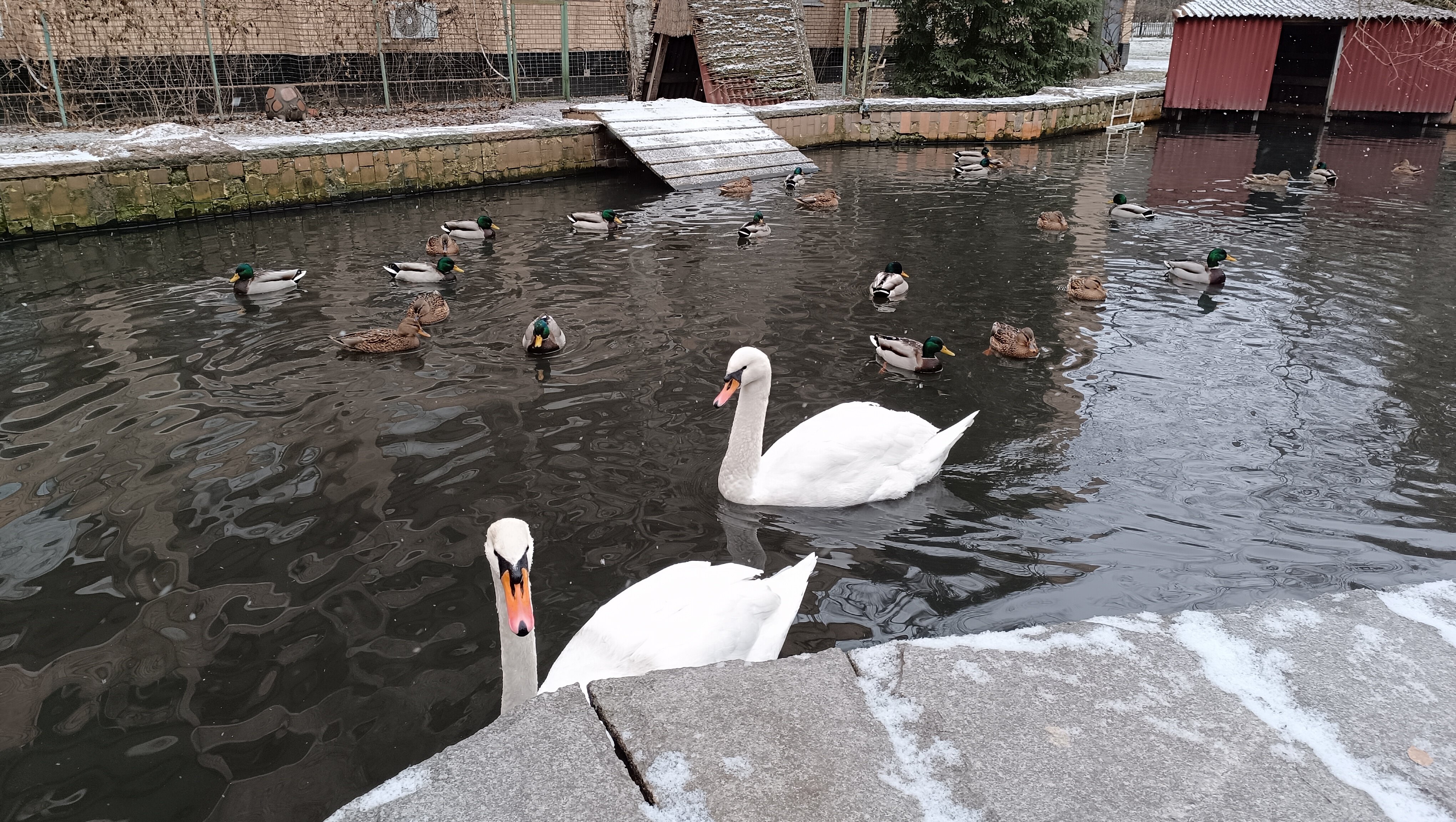 Фото Шереметьевский