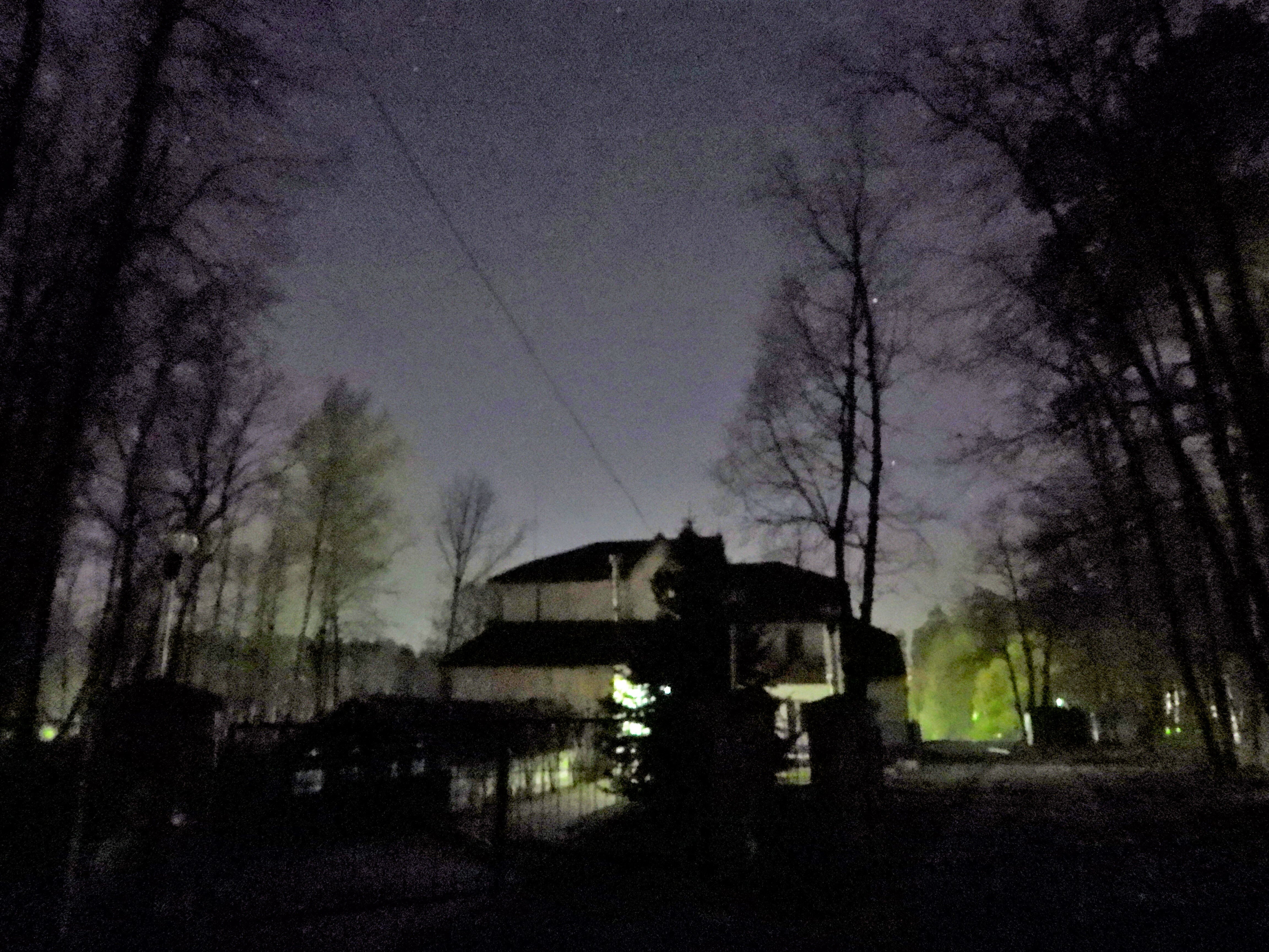 Фото Лесная