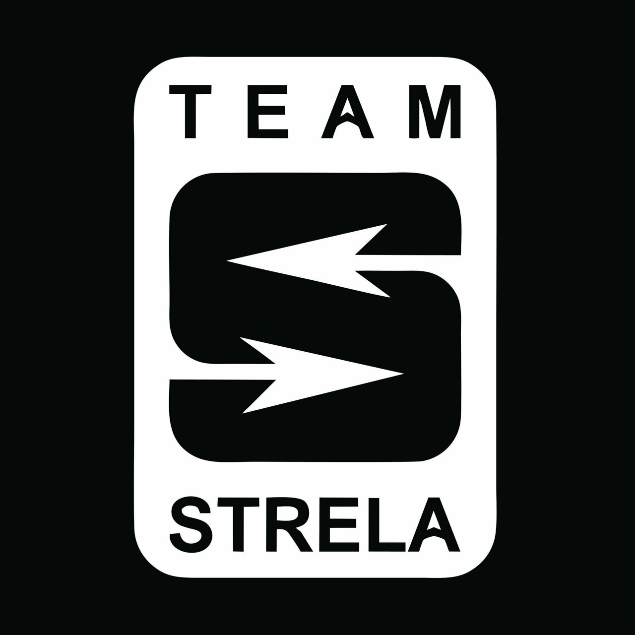 Team Strela Bjj