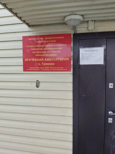 Vaccination point Пункт вакцинации в КГБУЗ Октябрьская ЦРБ, Primorsky Krai, photo