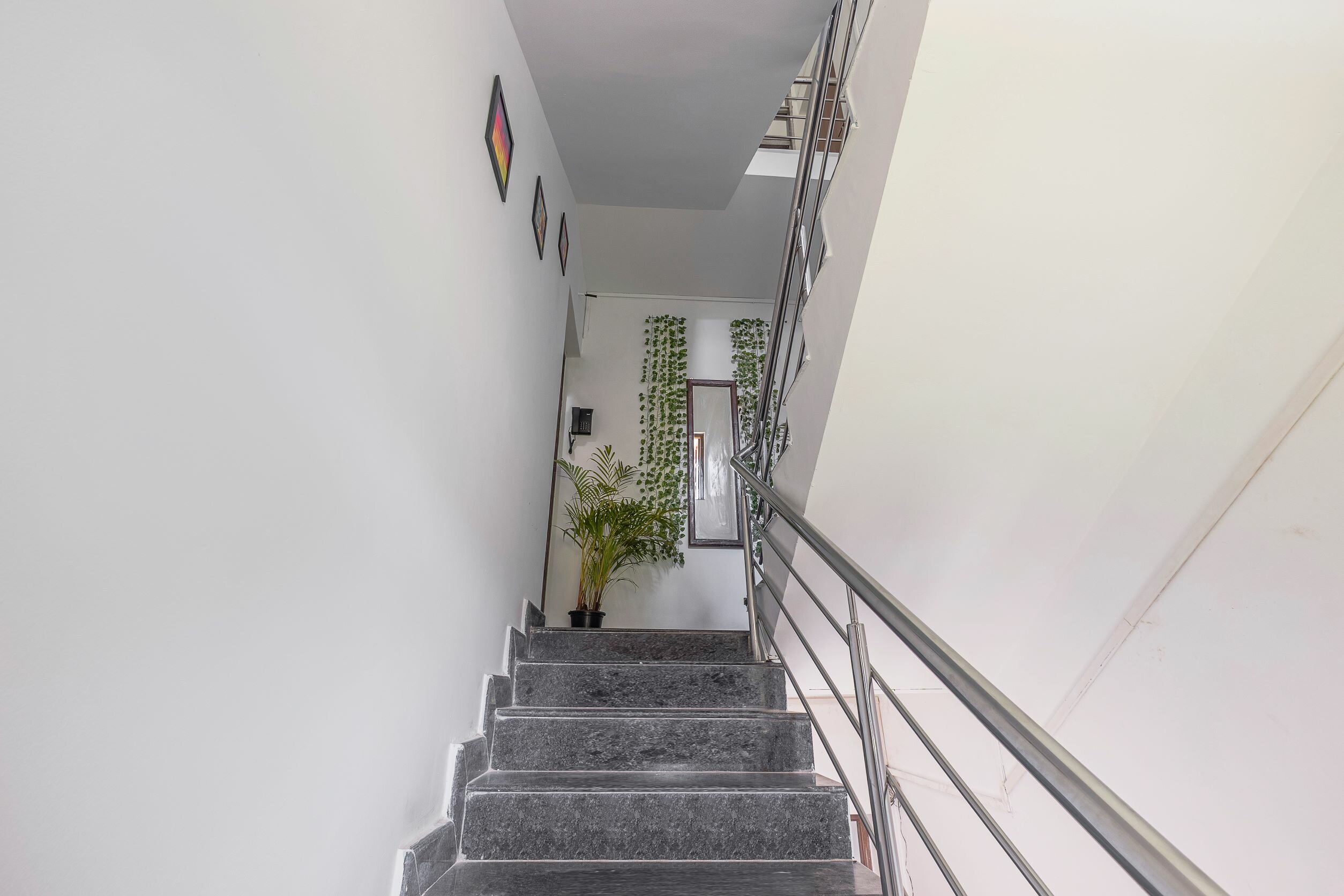 Фото Гостевой дом The Sequeira Goa