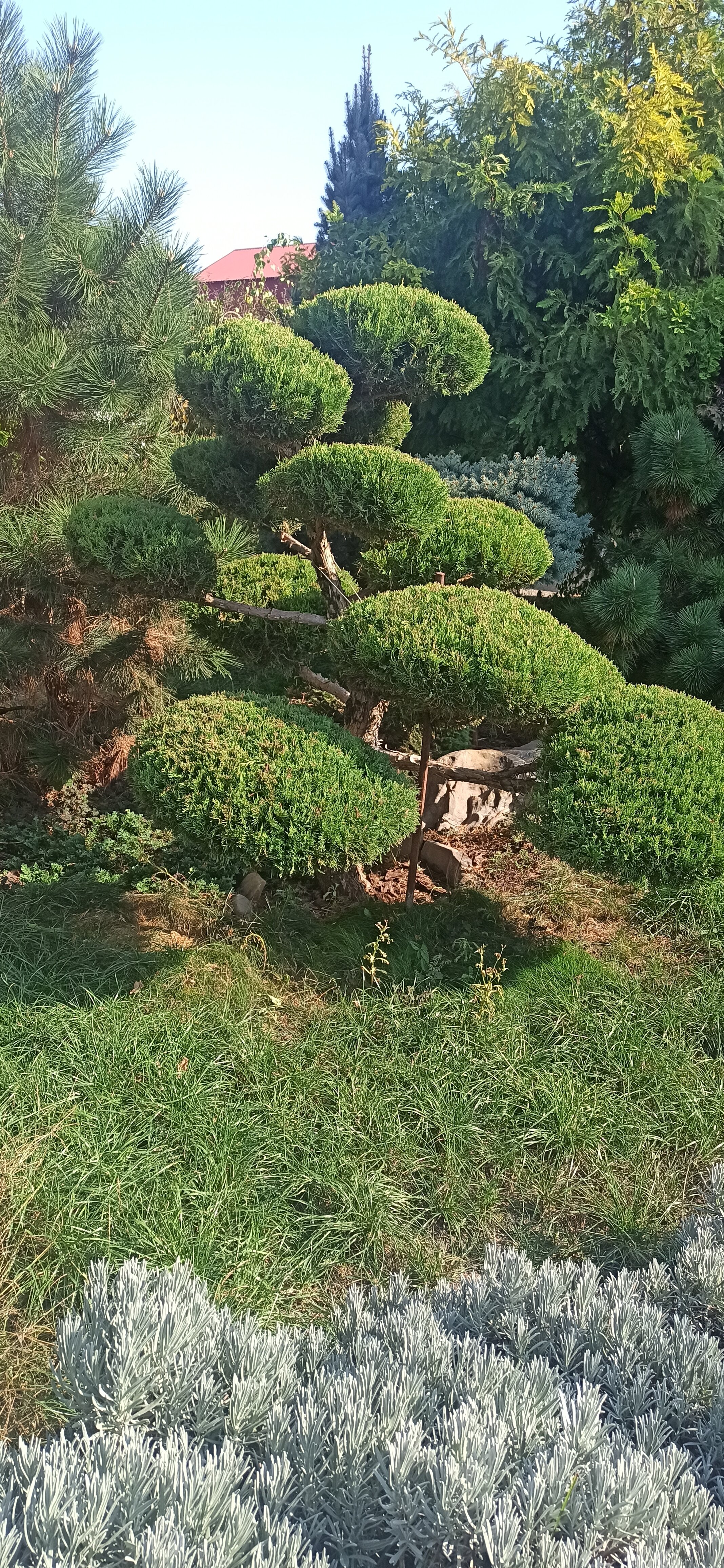 Фото Саксония