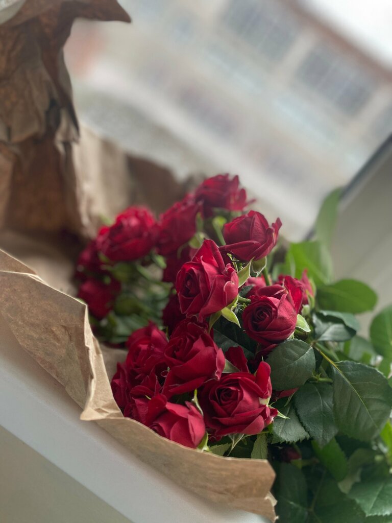 Ирина Константиновна