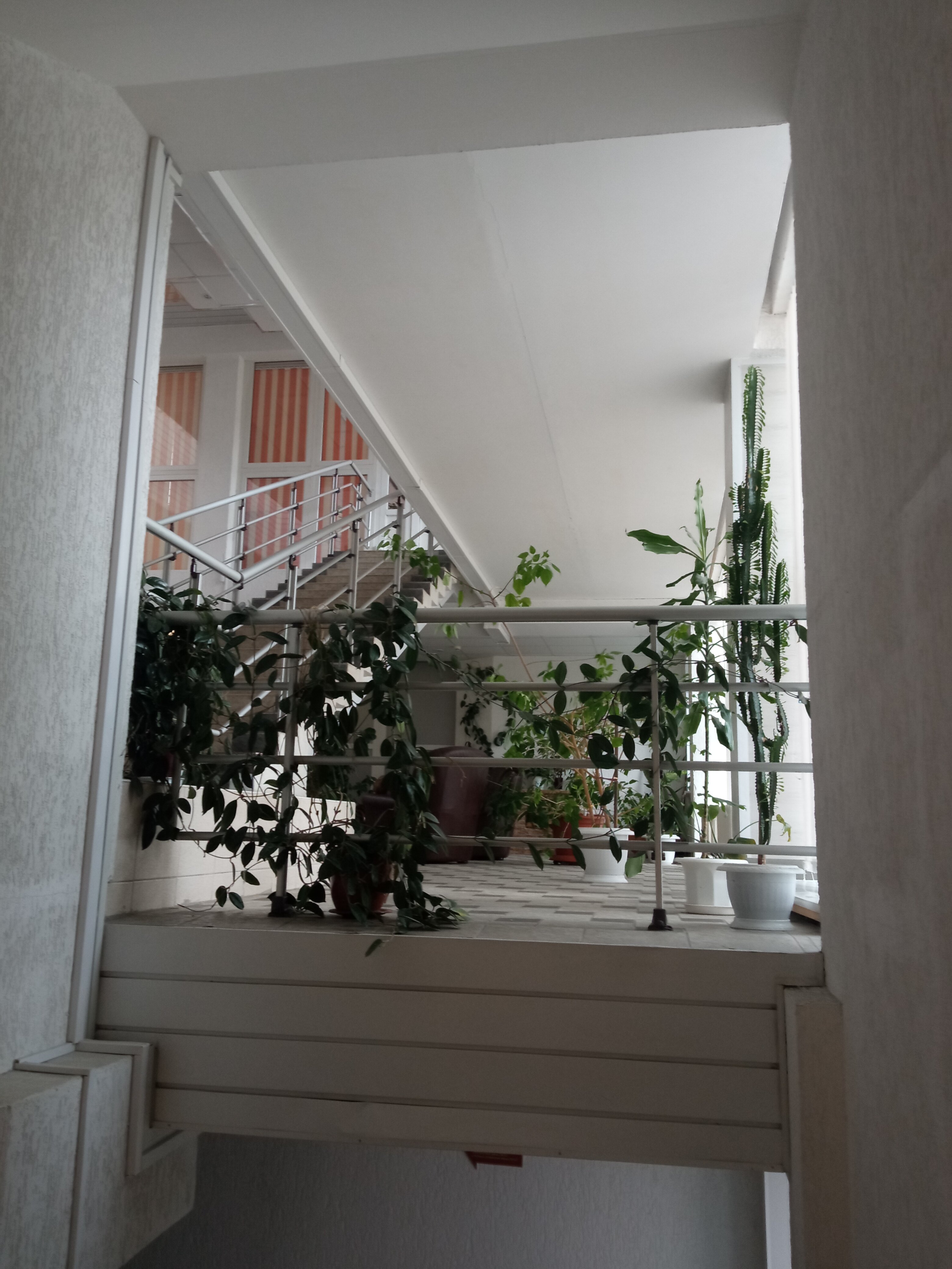 Фото Нафтан