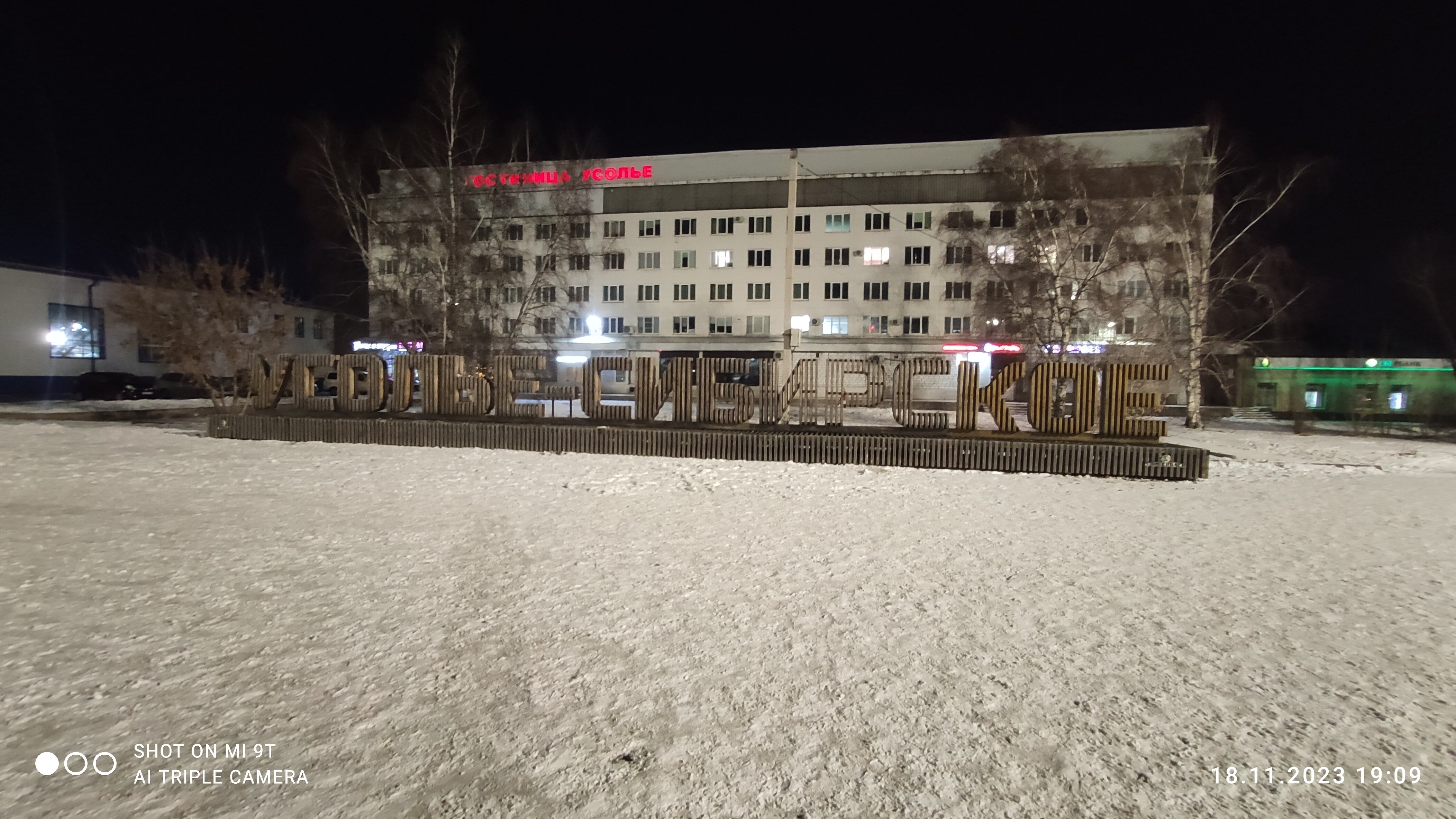 Фото Гостиница Усолье