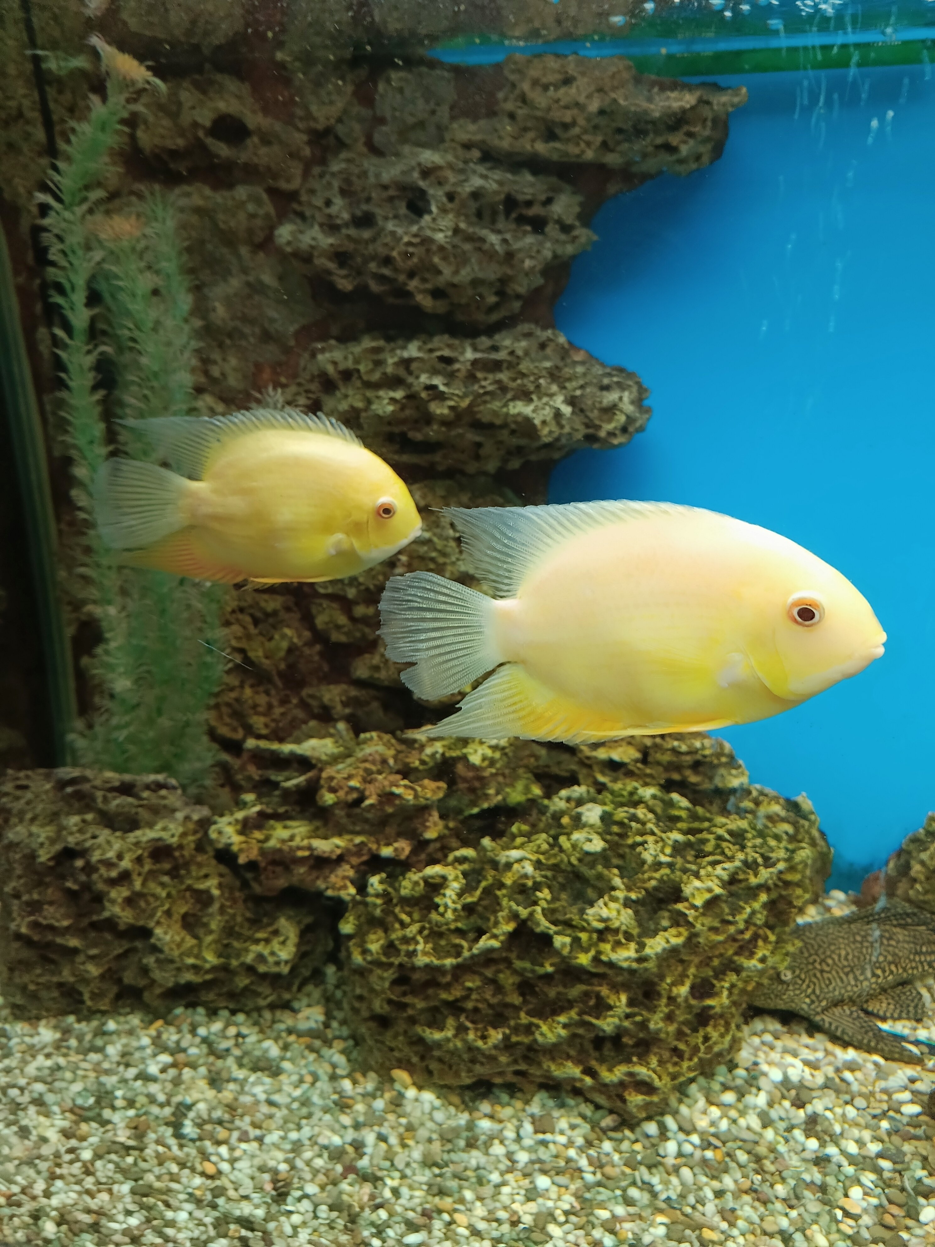 Фото Фёдоров