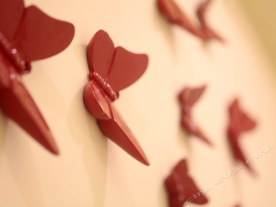 Фото Care Hotel Coast Collection