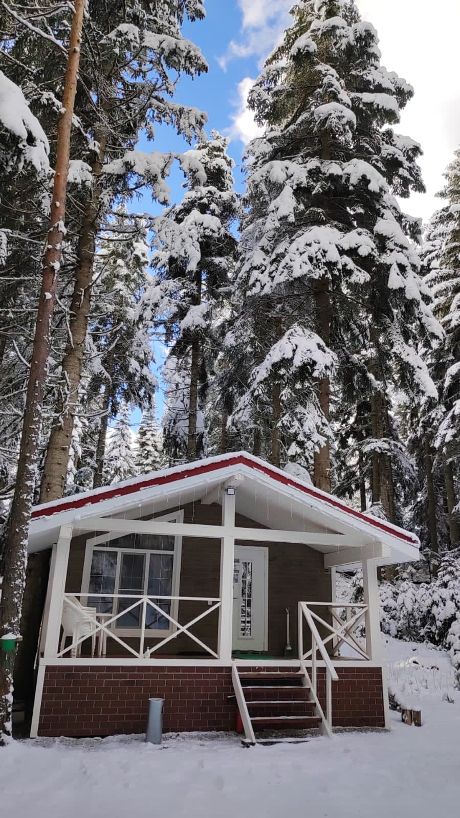 Фото Шале Пихта