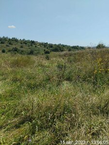 Гнилое (Belgorod Region, Veydelevskiy rayon, Viktoropolskoye selskoye poseleniye), atracción