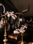 Black Phillip (Gatchinskaya Street, 19-21), magic and esoterics