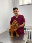 Акела (ulitsa Marshala Koneva, 33) ، عيادة بيطرية