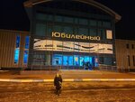 Юбилейный (Пионерская ул., 4А, Новомосковск), спортивный комплекс в Новомосковске