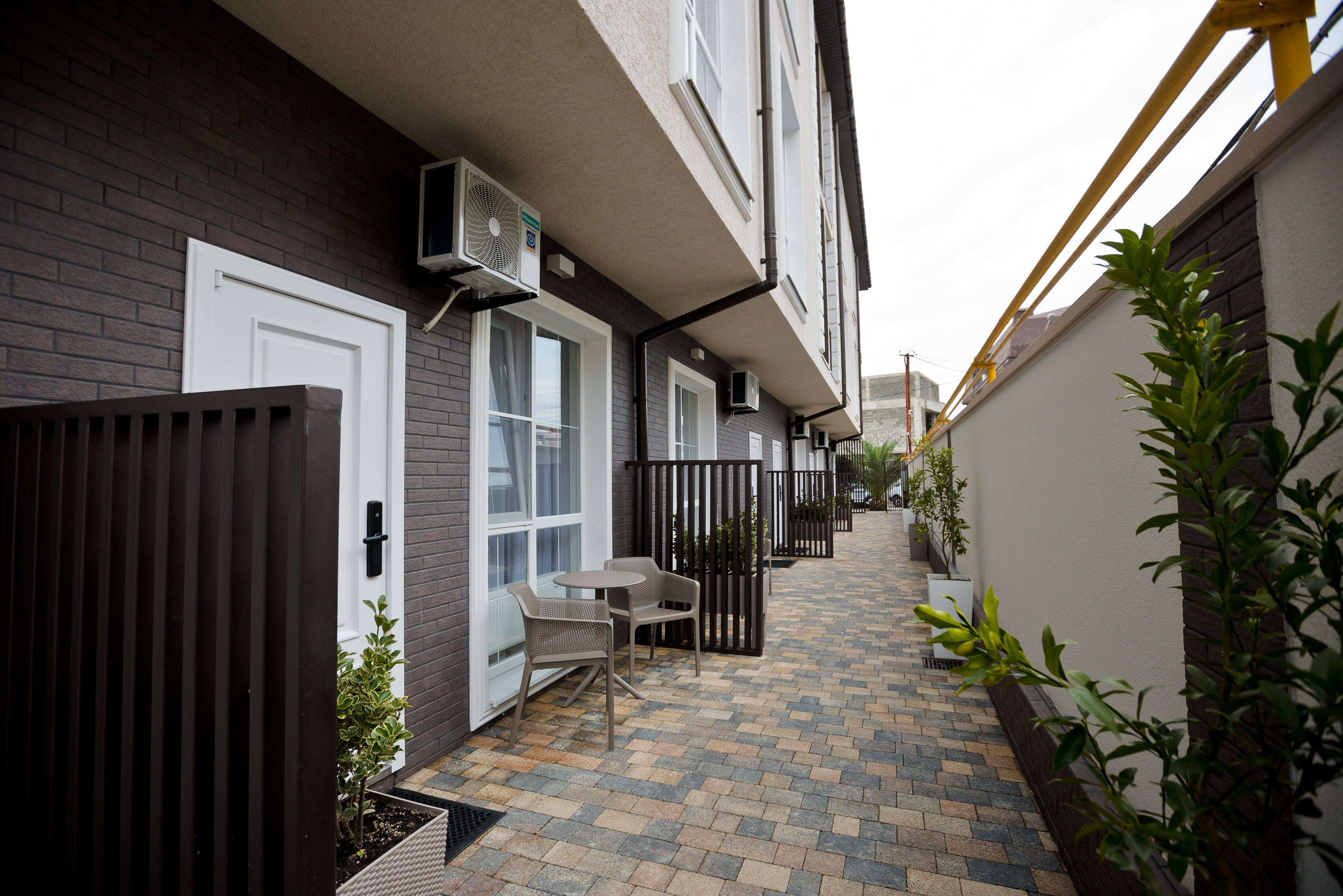 Фото Астерия Сириус