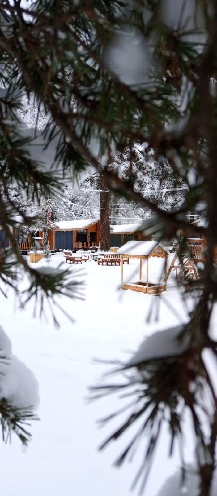 Фото Solu Chalet