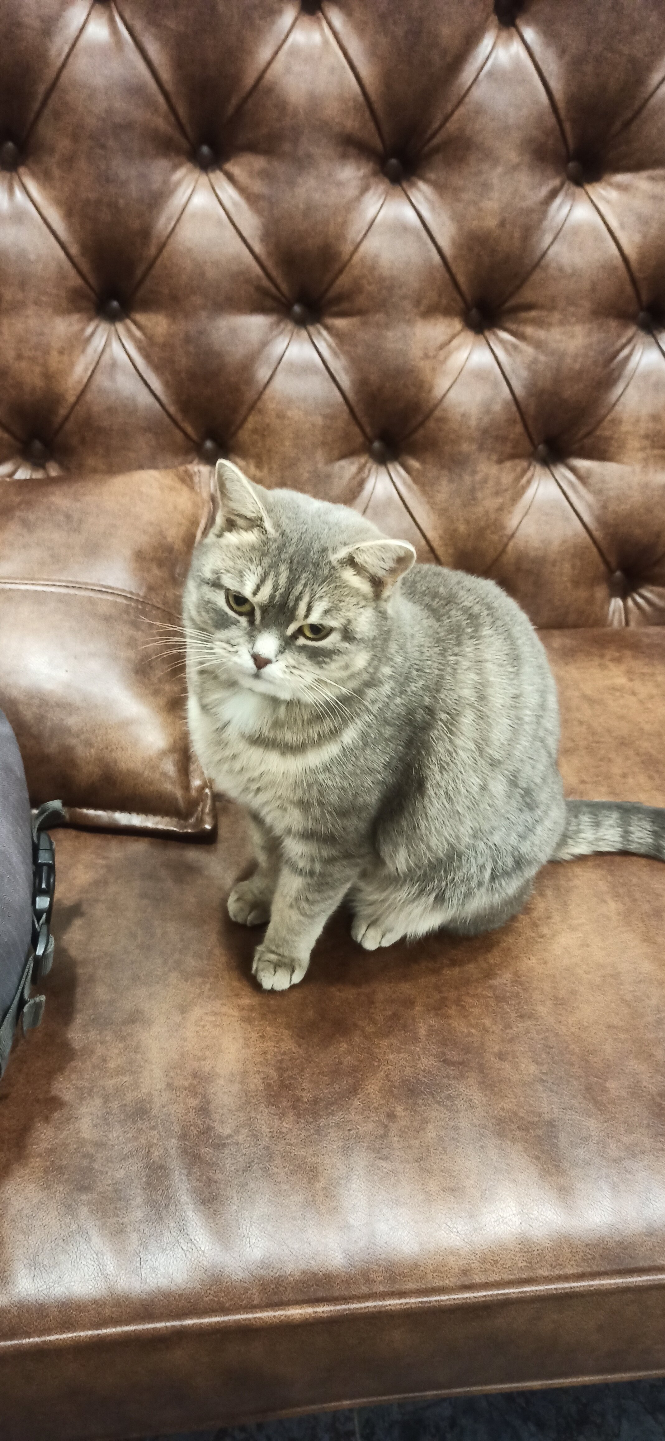 Фото Дилижанс