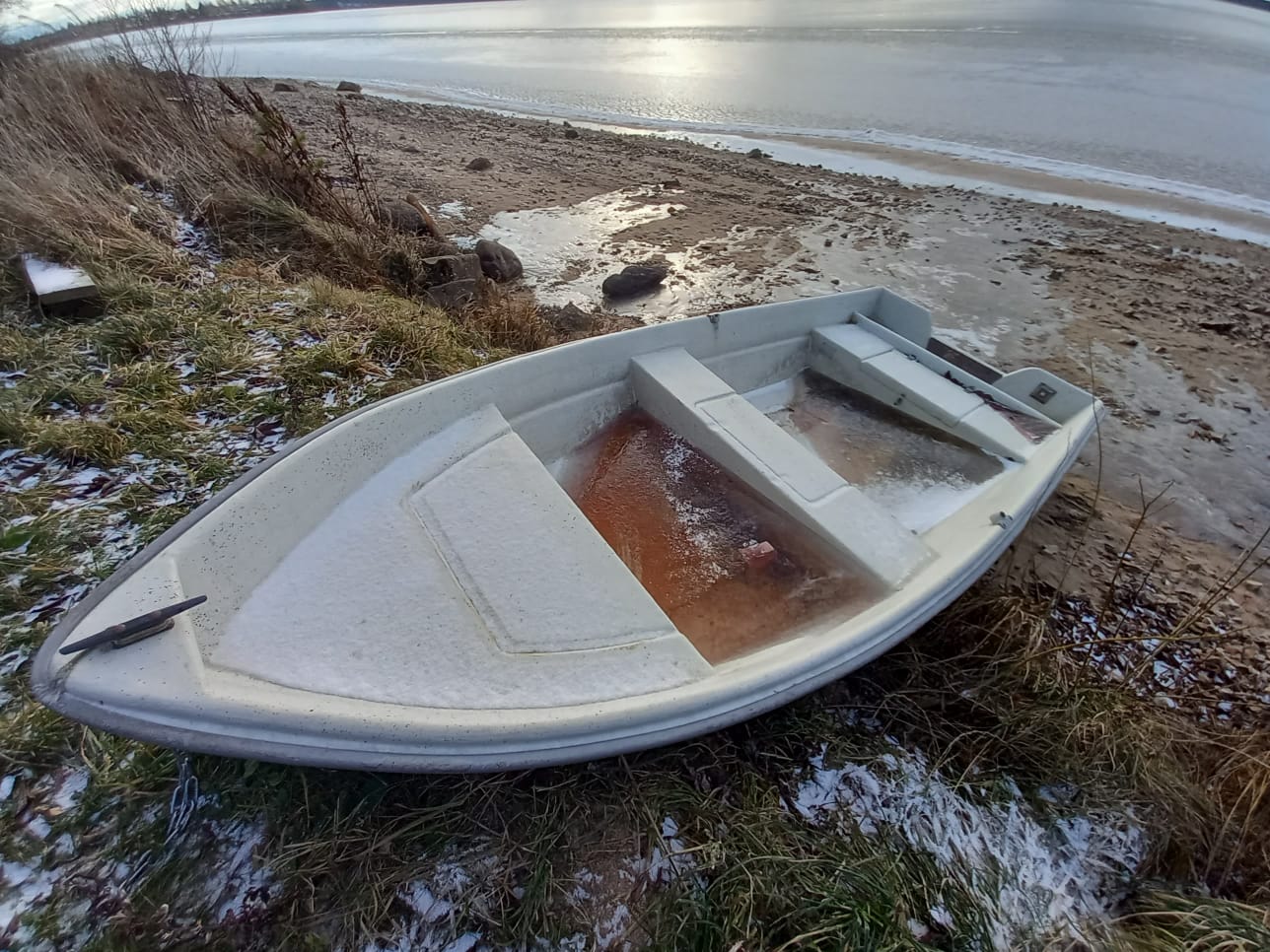 Фото Можжевеловый бор