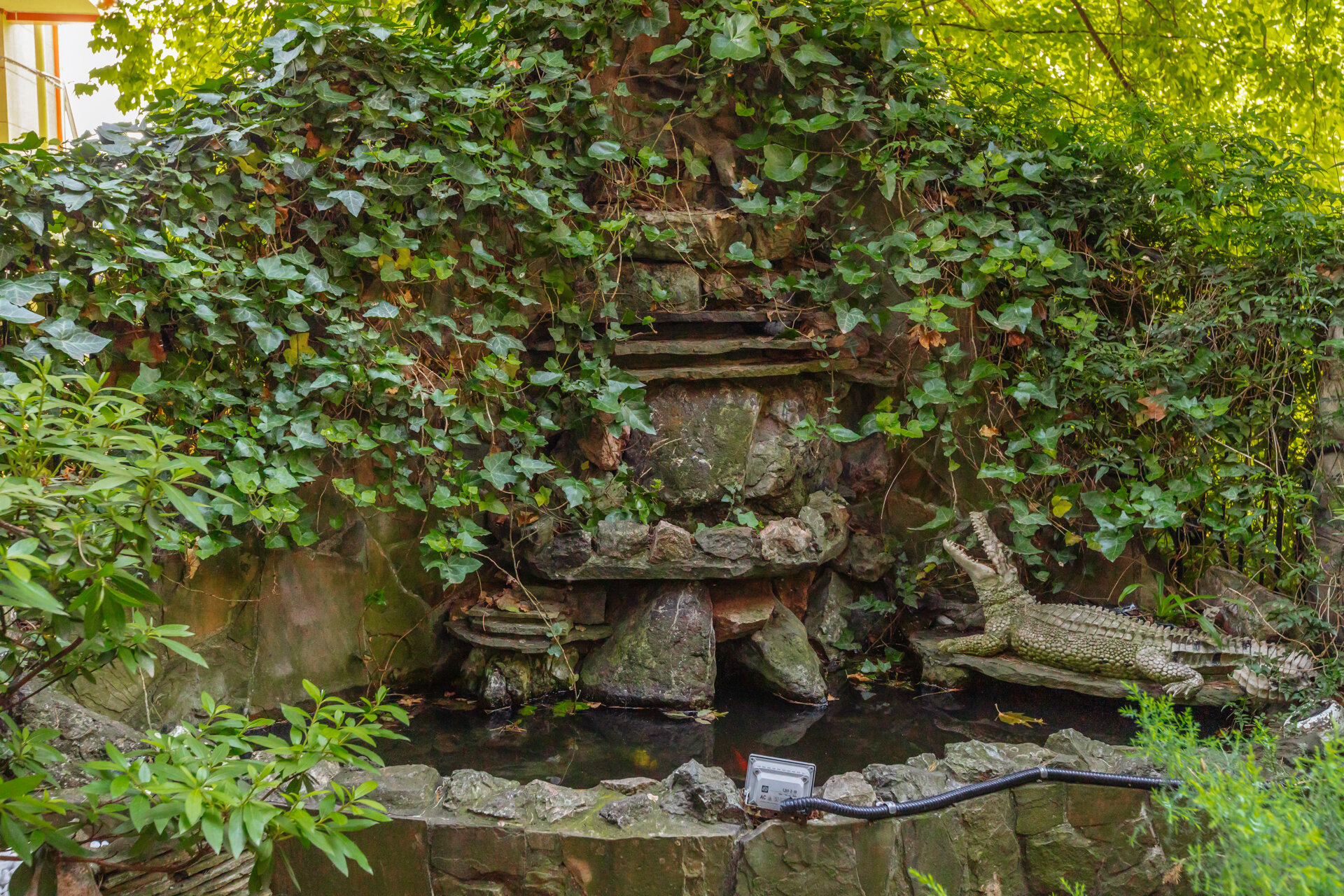 Фото У Оксаны