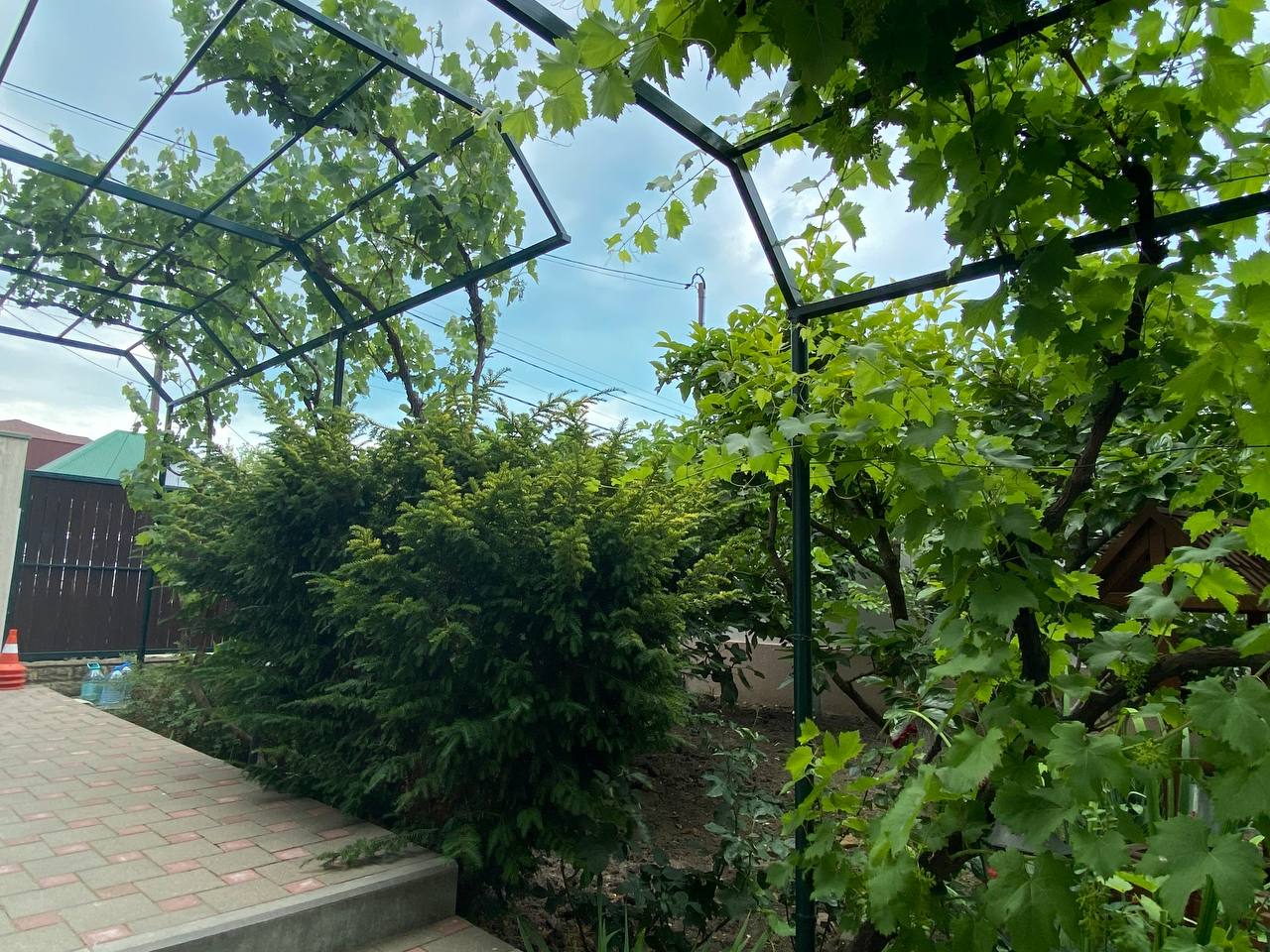 Фото Вилла Терраса