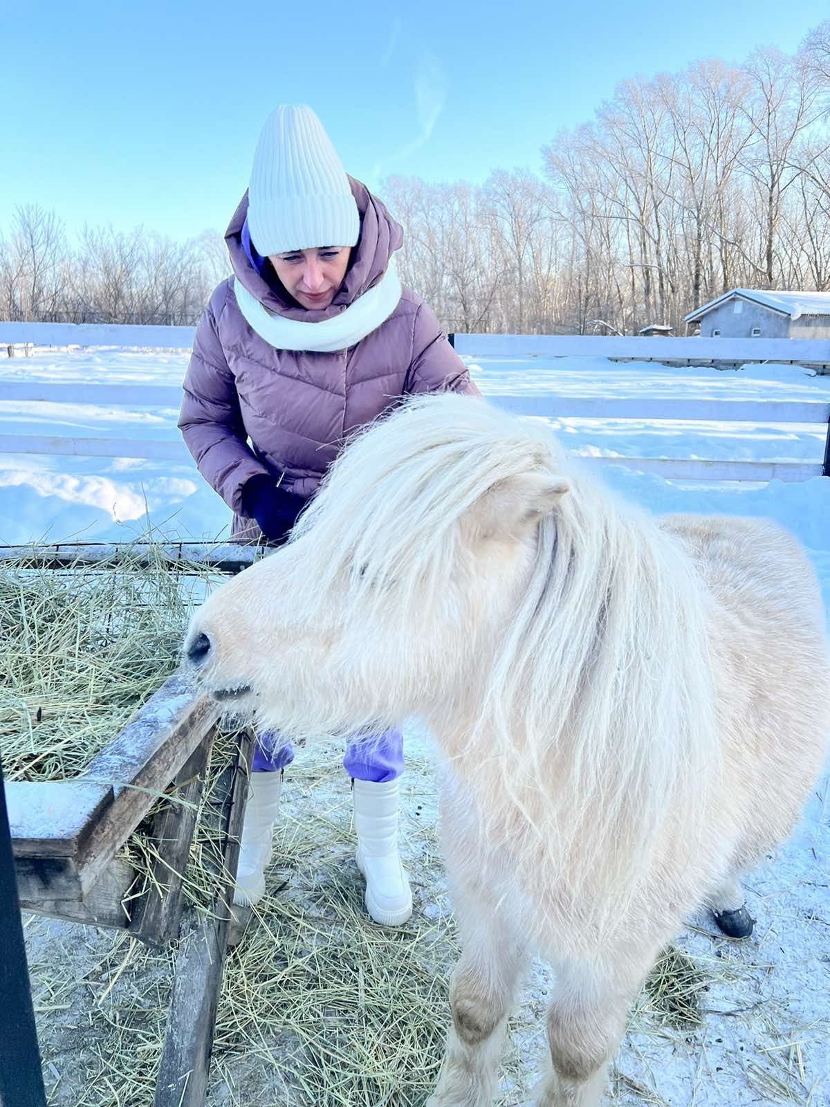 Фото Пара Альпак