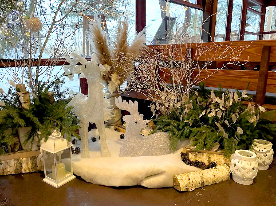 Фото Куршале