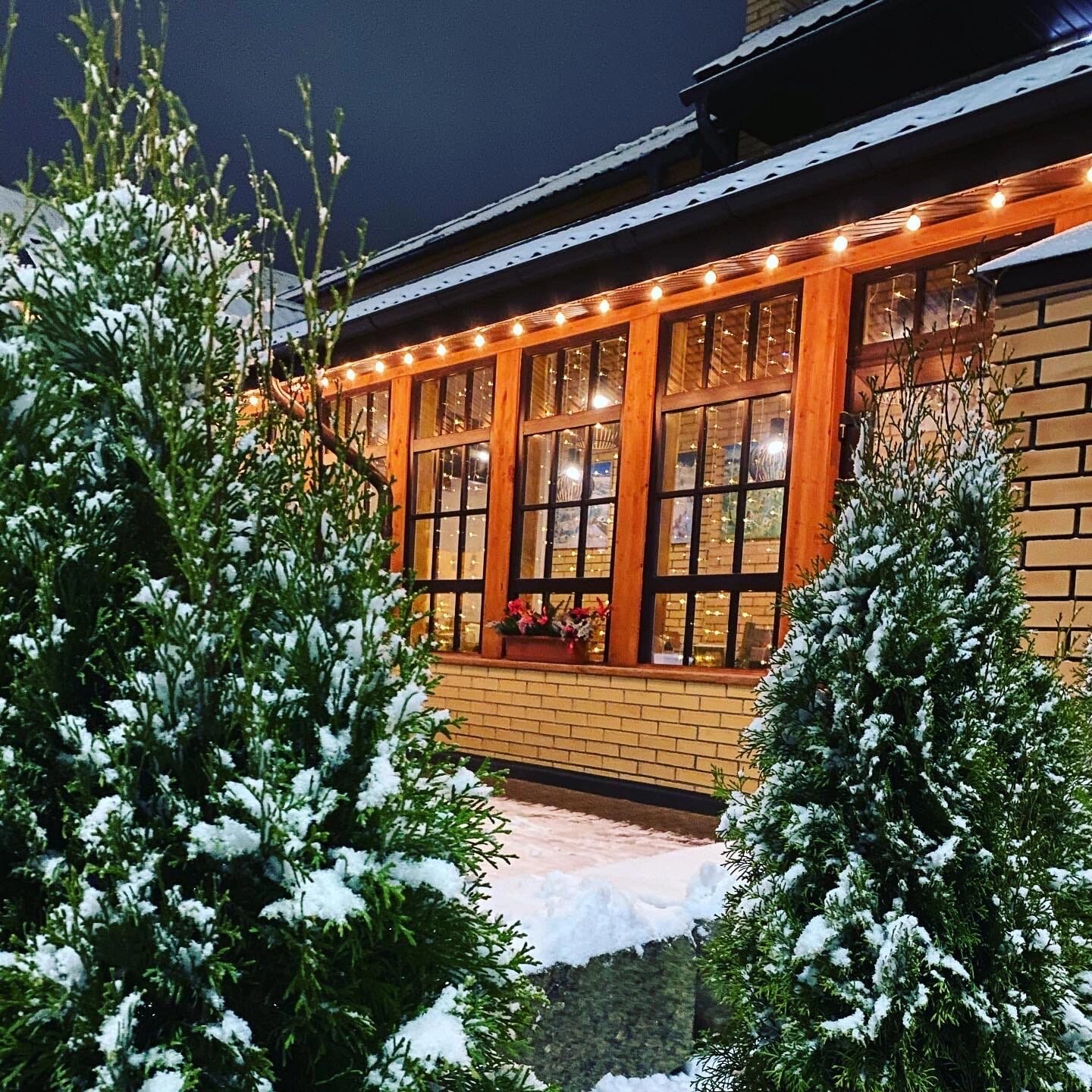 Фото Три кота