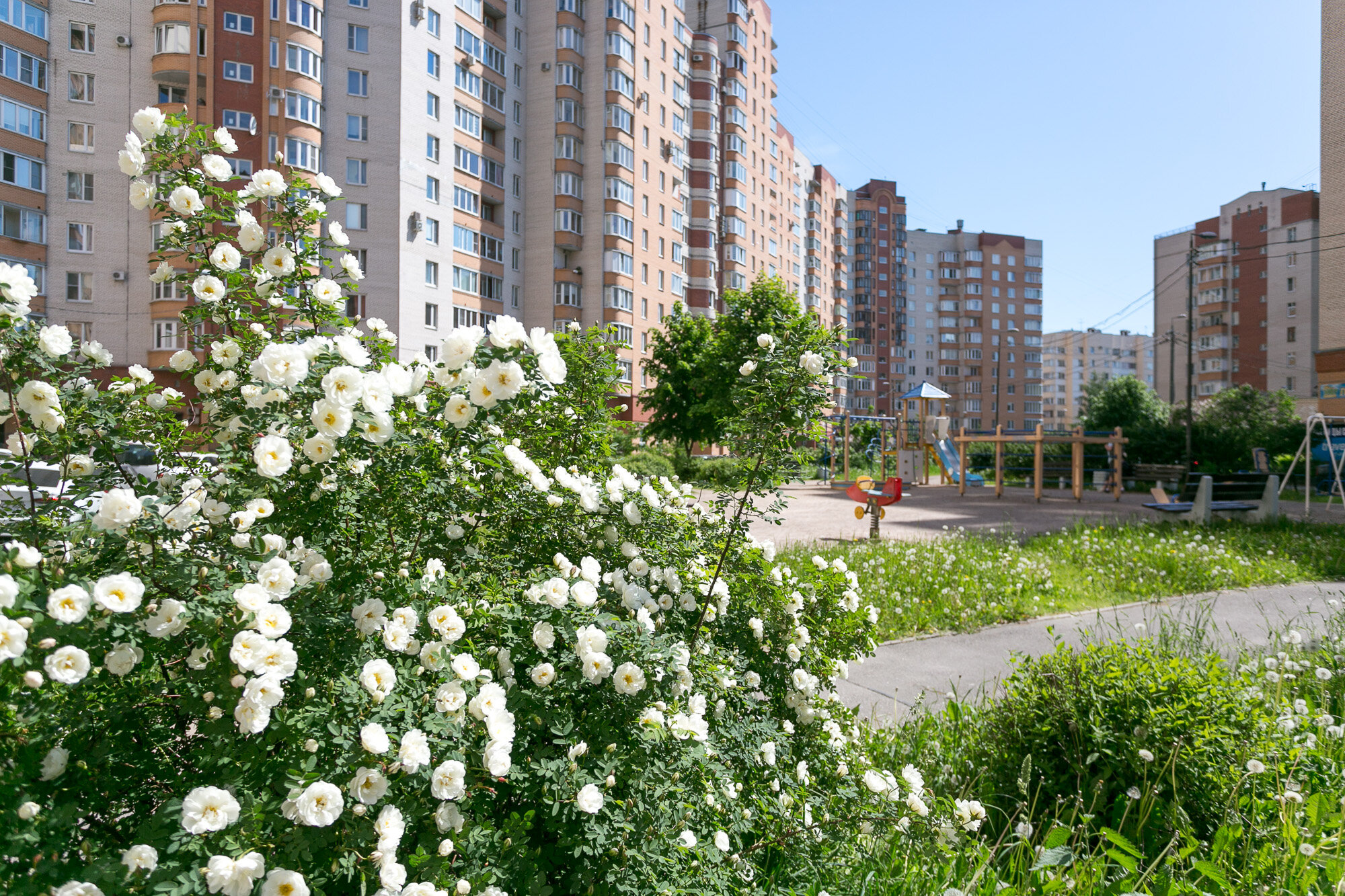 Фото Апарт-группа Морошка