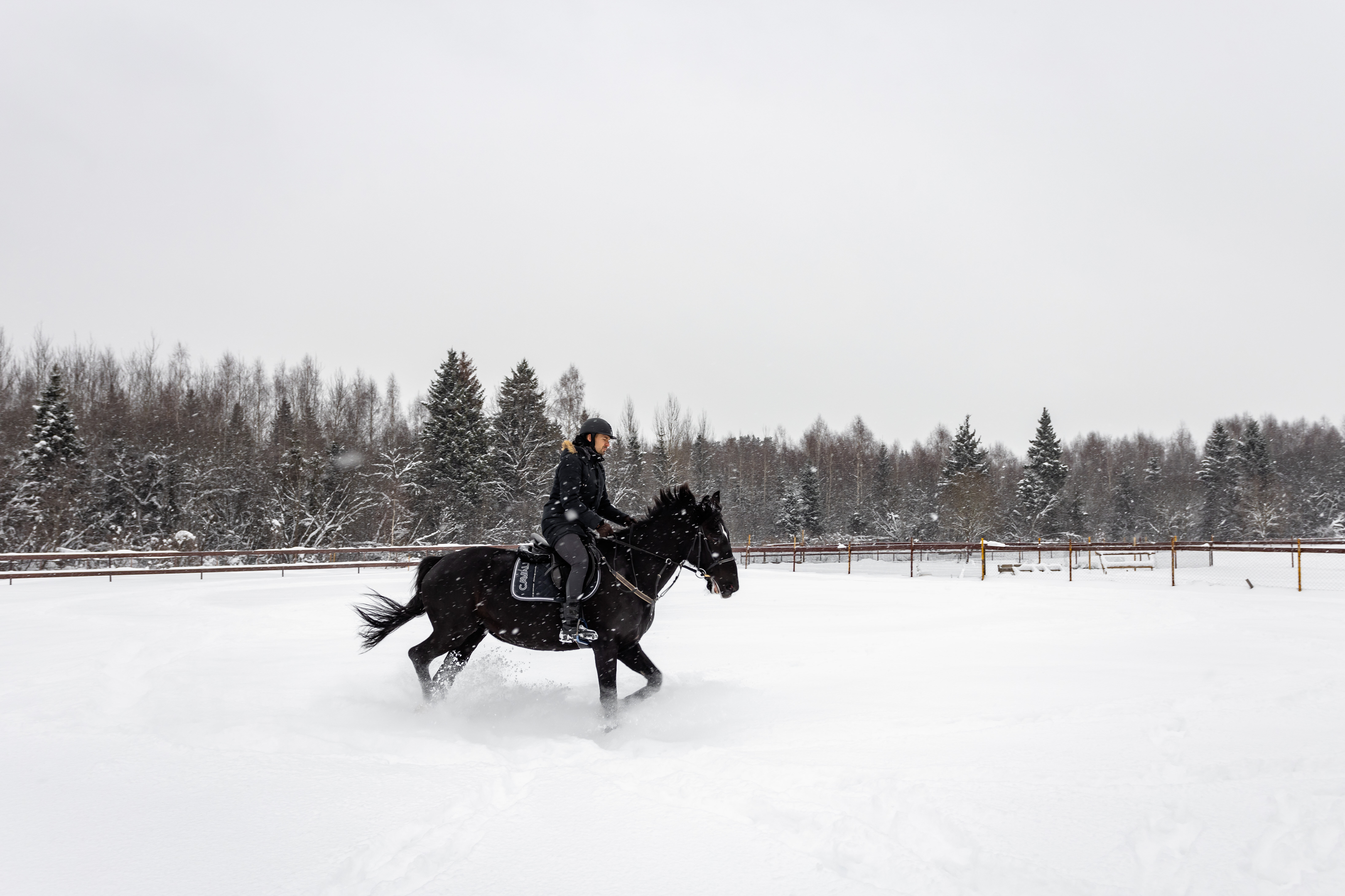 Фото Усадьба Четыре Сезона