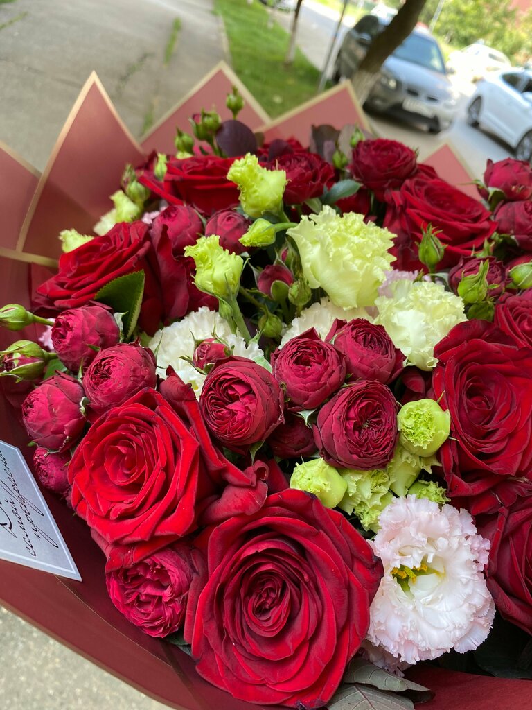 Полина Сухова