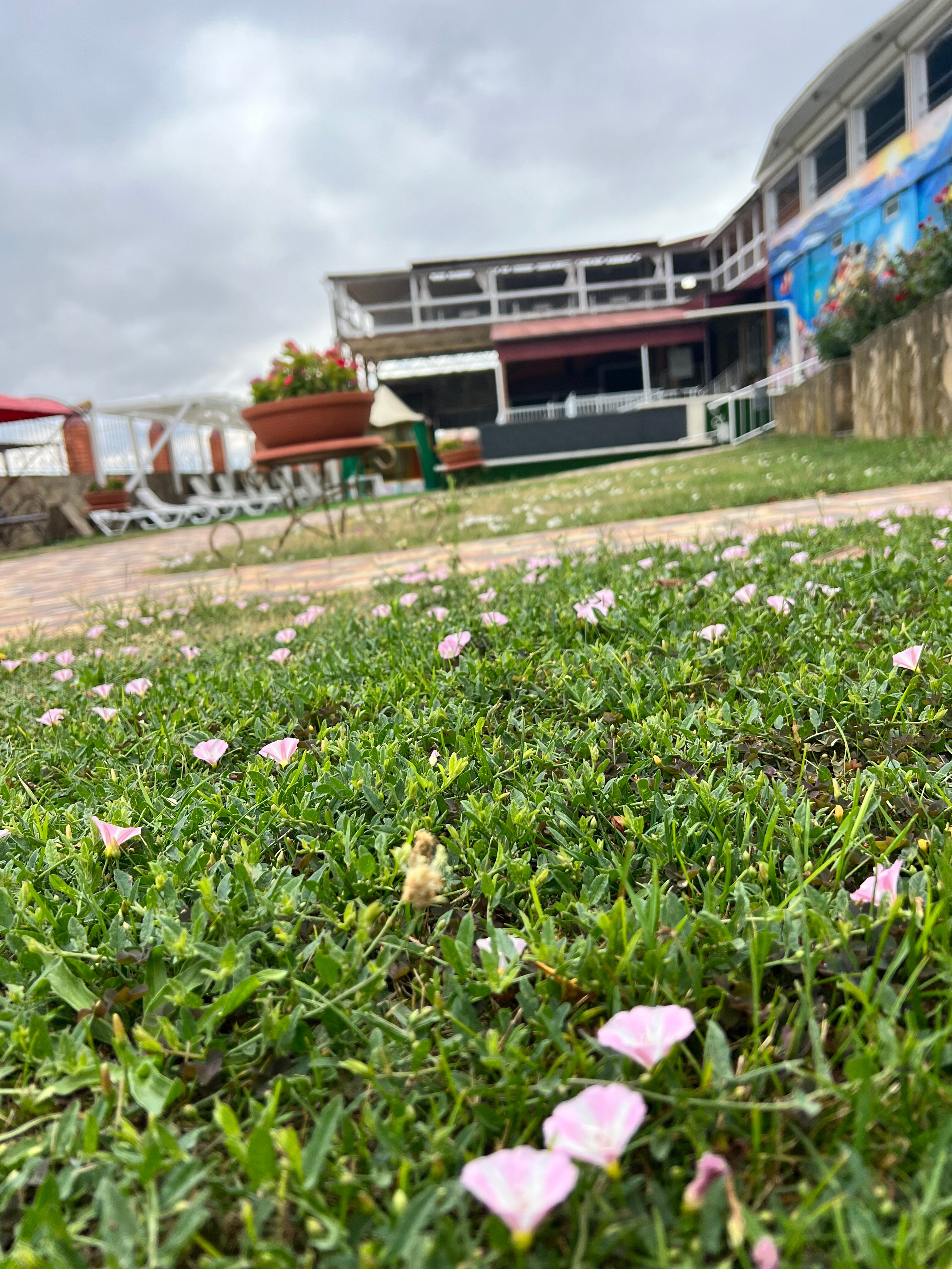 Фото Планета Лета