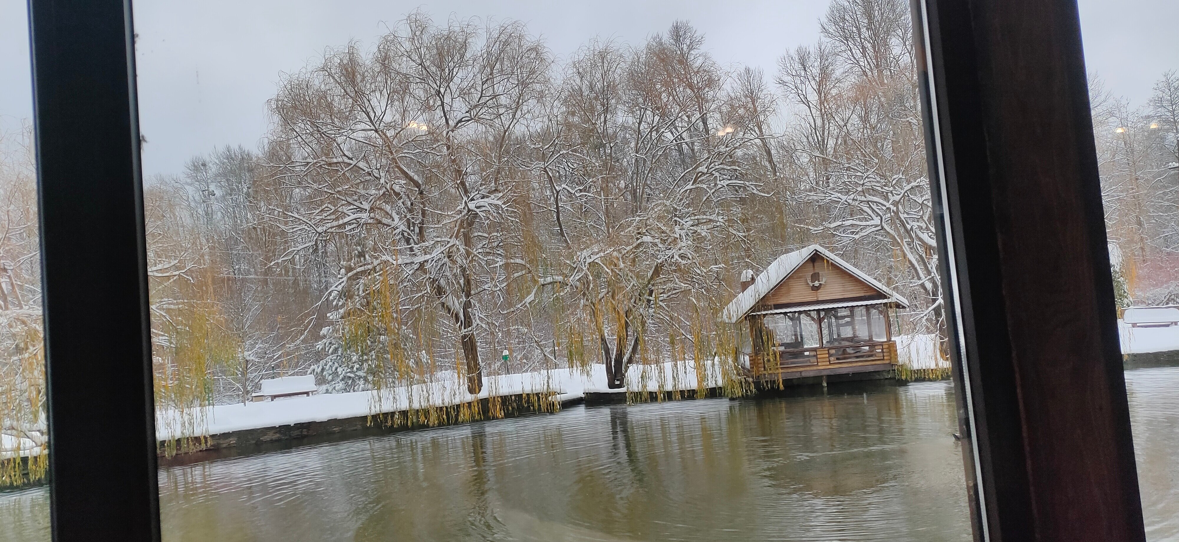 Фото Кура-цеце