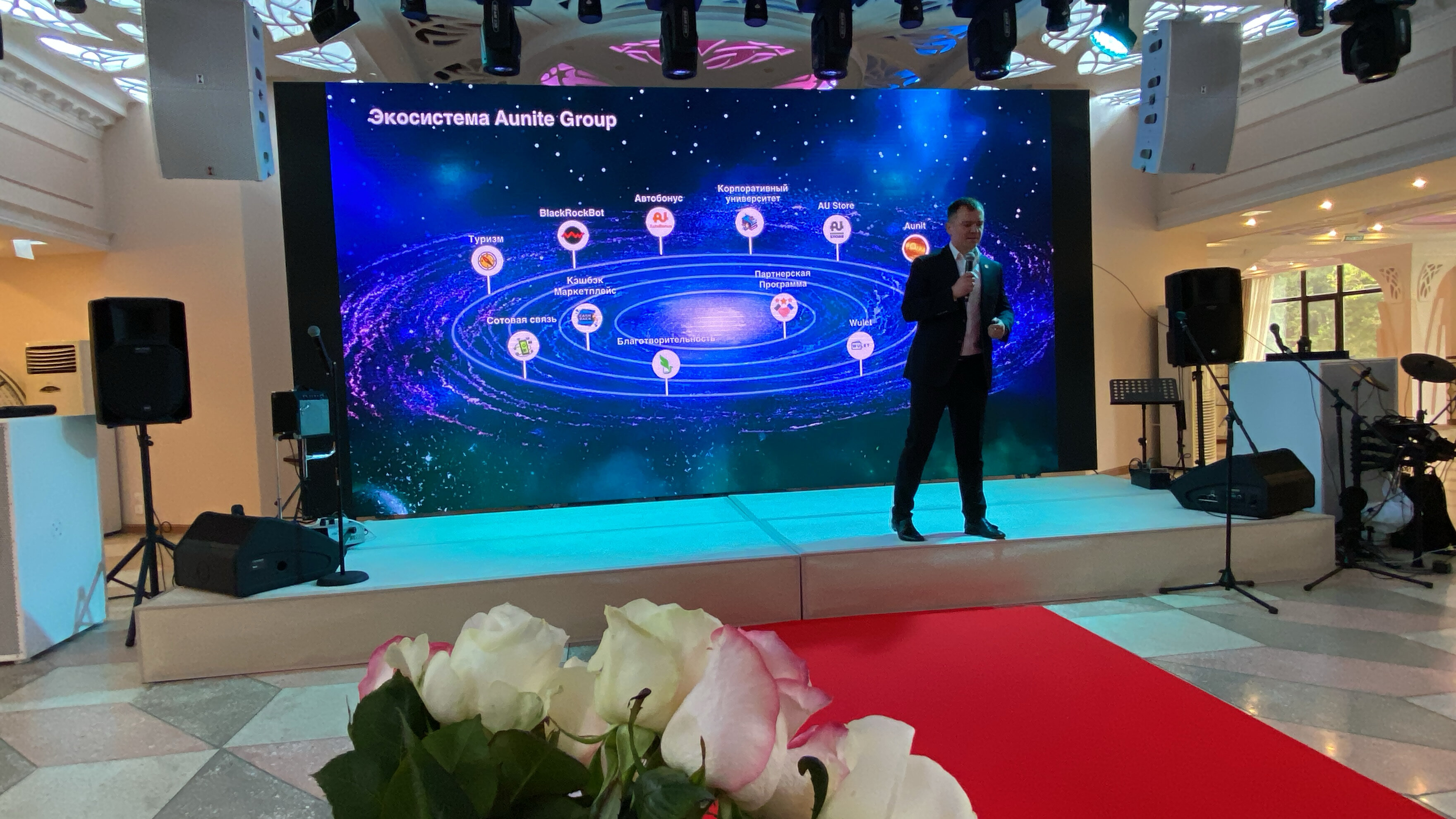 Фото Золотой дельфин