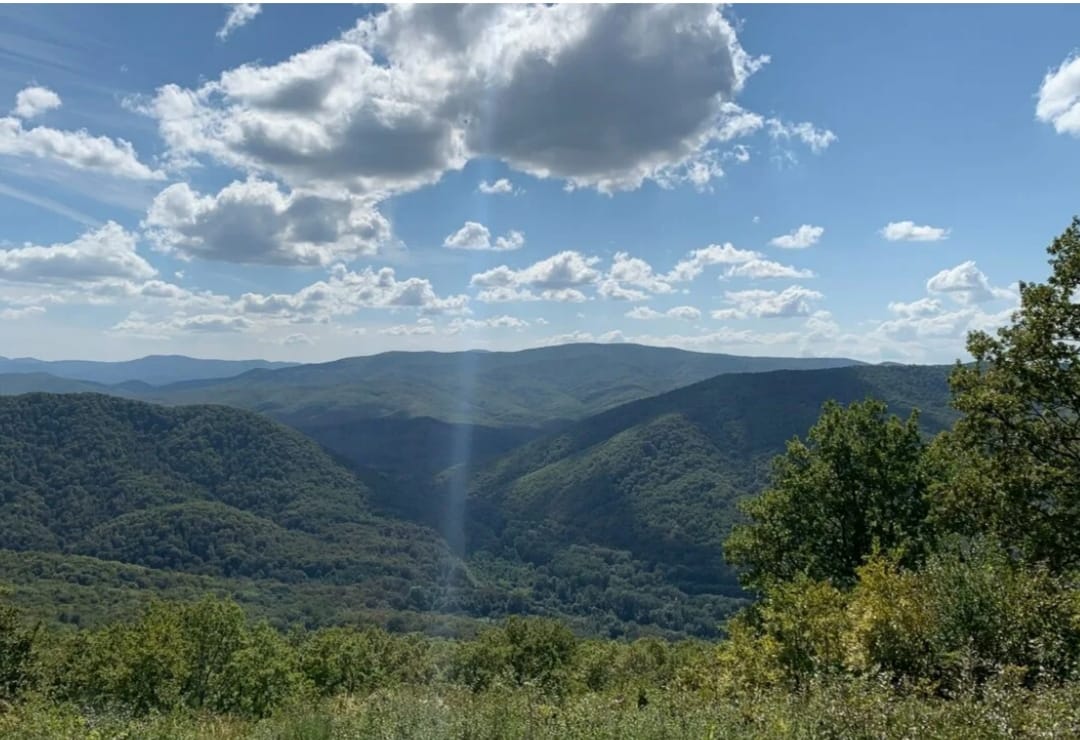 Фото Residence Park