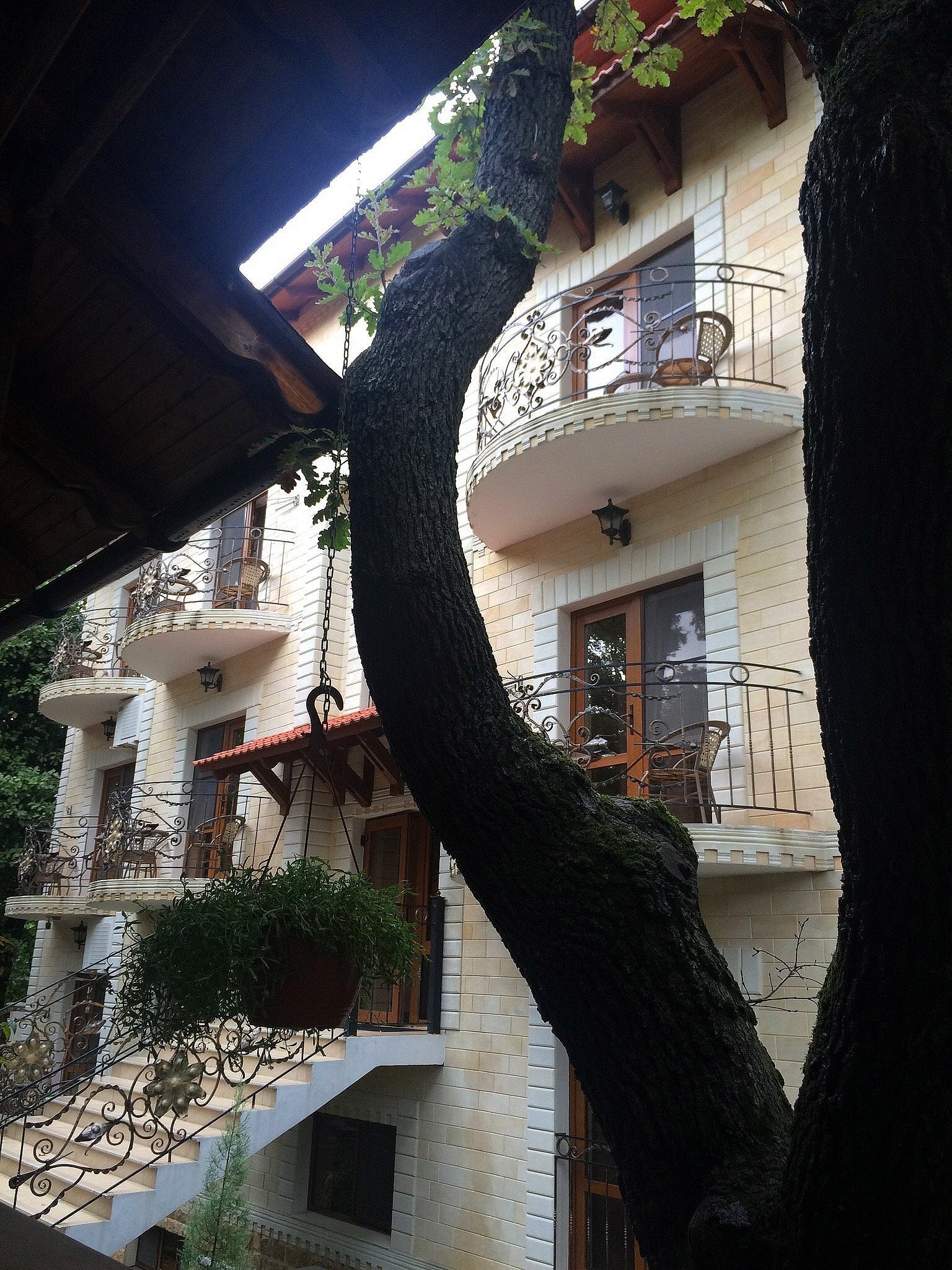 Фото Вилла Жасмин