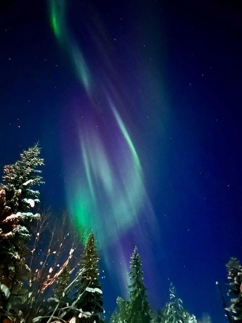 Фото Лапландия