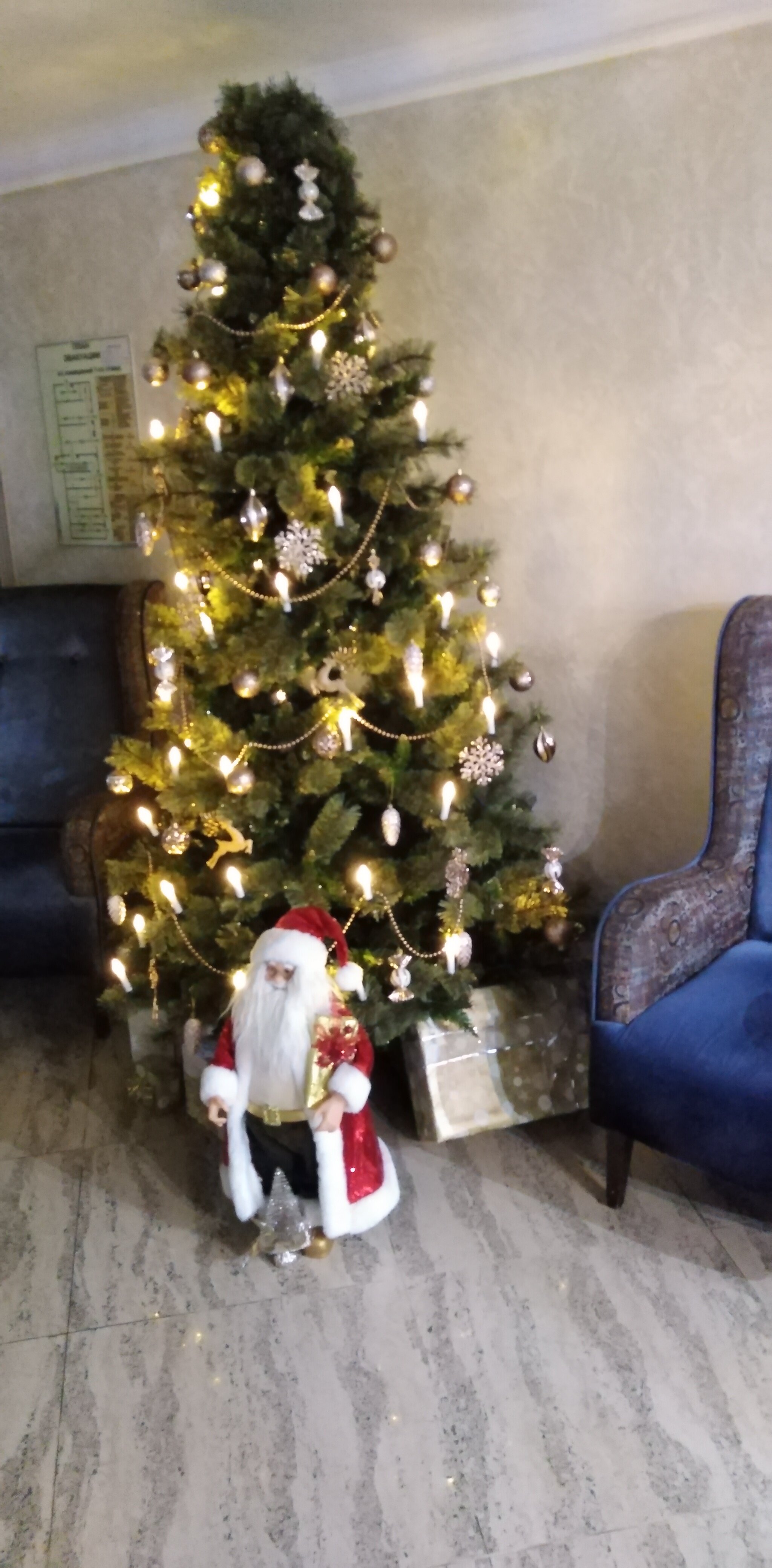 Фото Березка