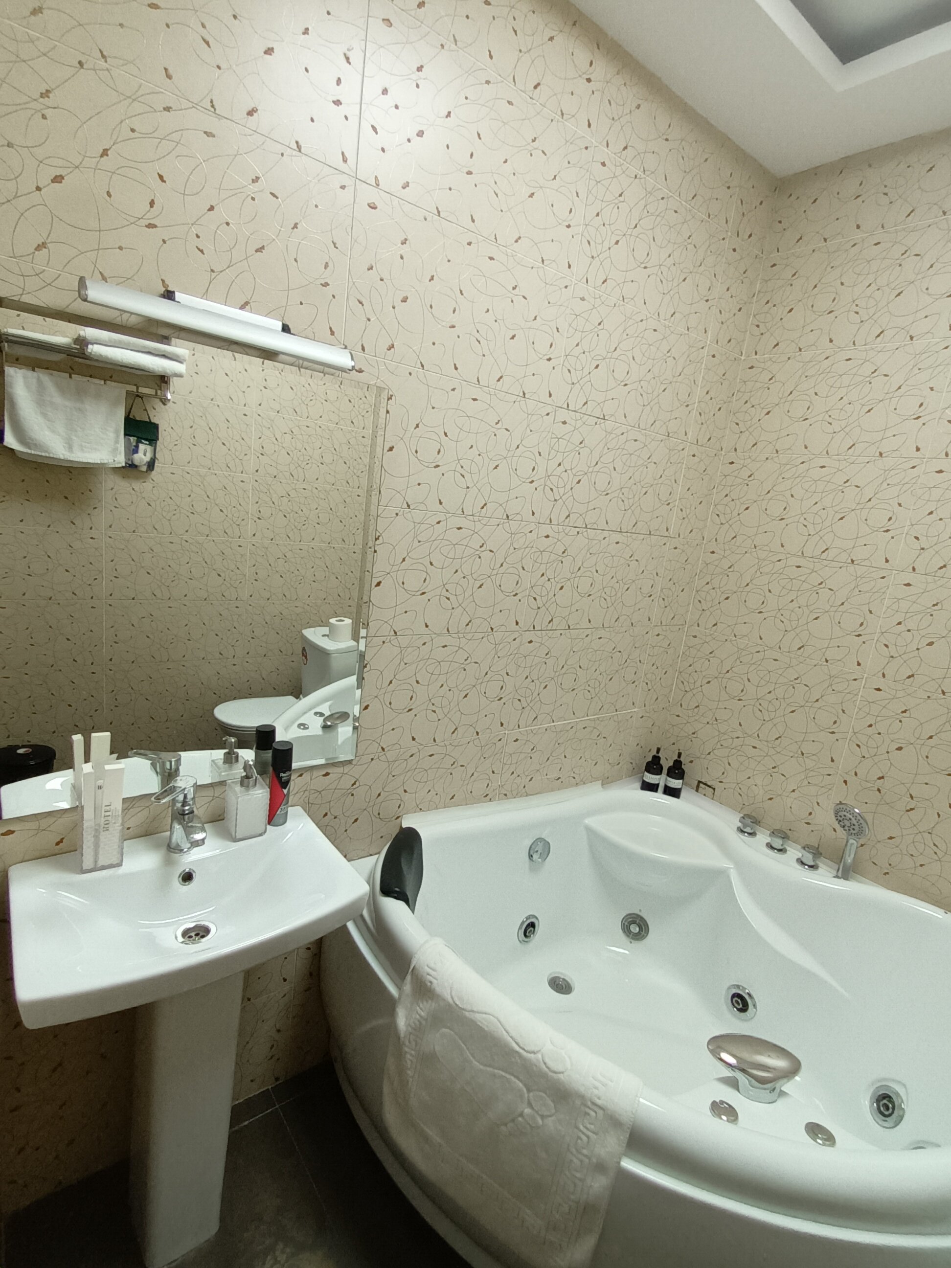 Фото Altyn Adam Hotel