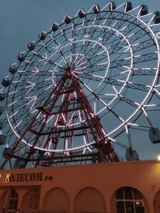 Ferris Wheel (Bol'shevistskaya Street, 12Б), atracción