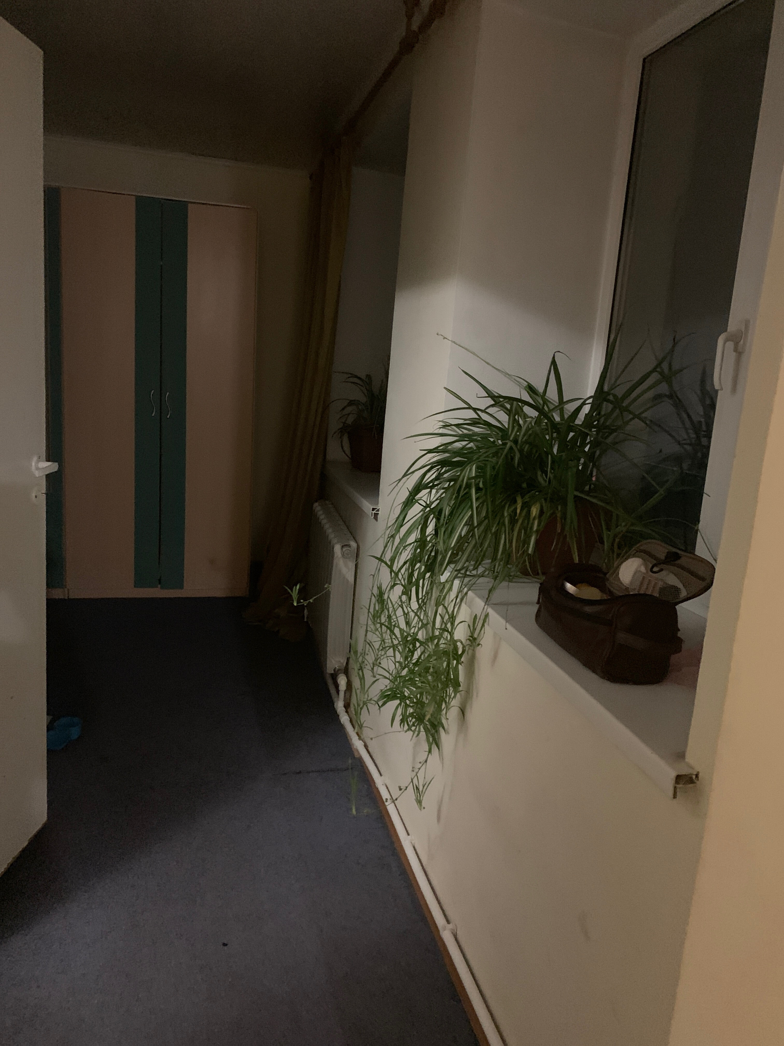 Фото Надежда