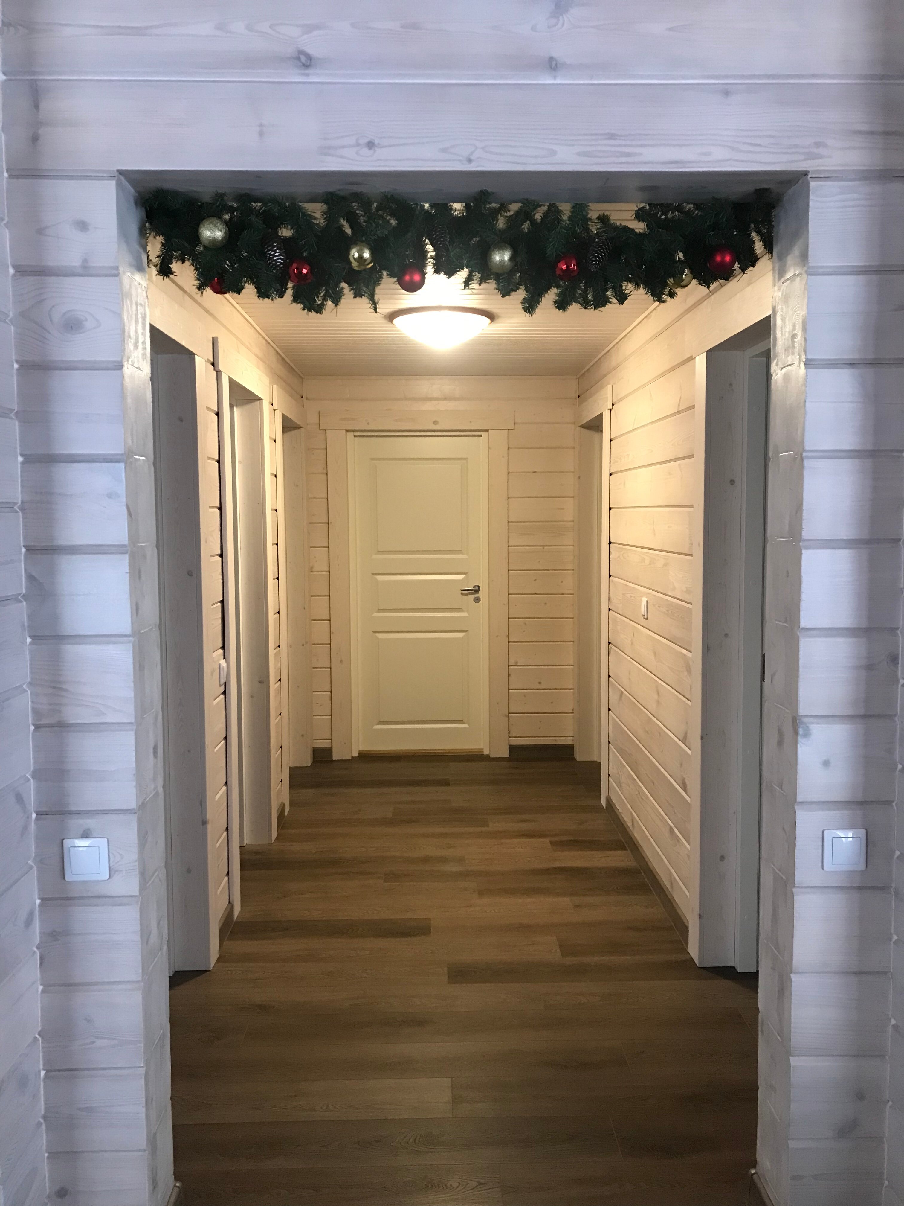 Фото Таволга