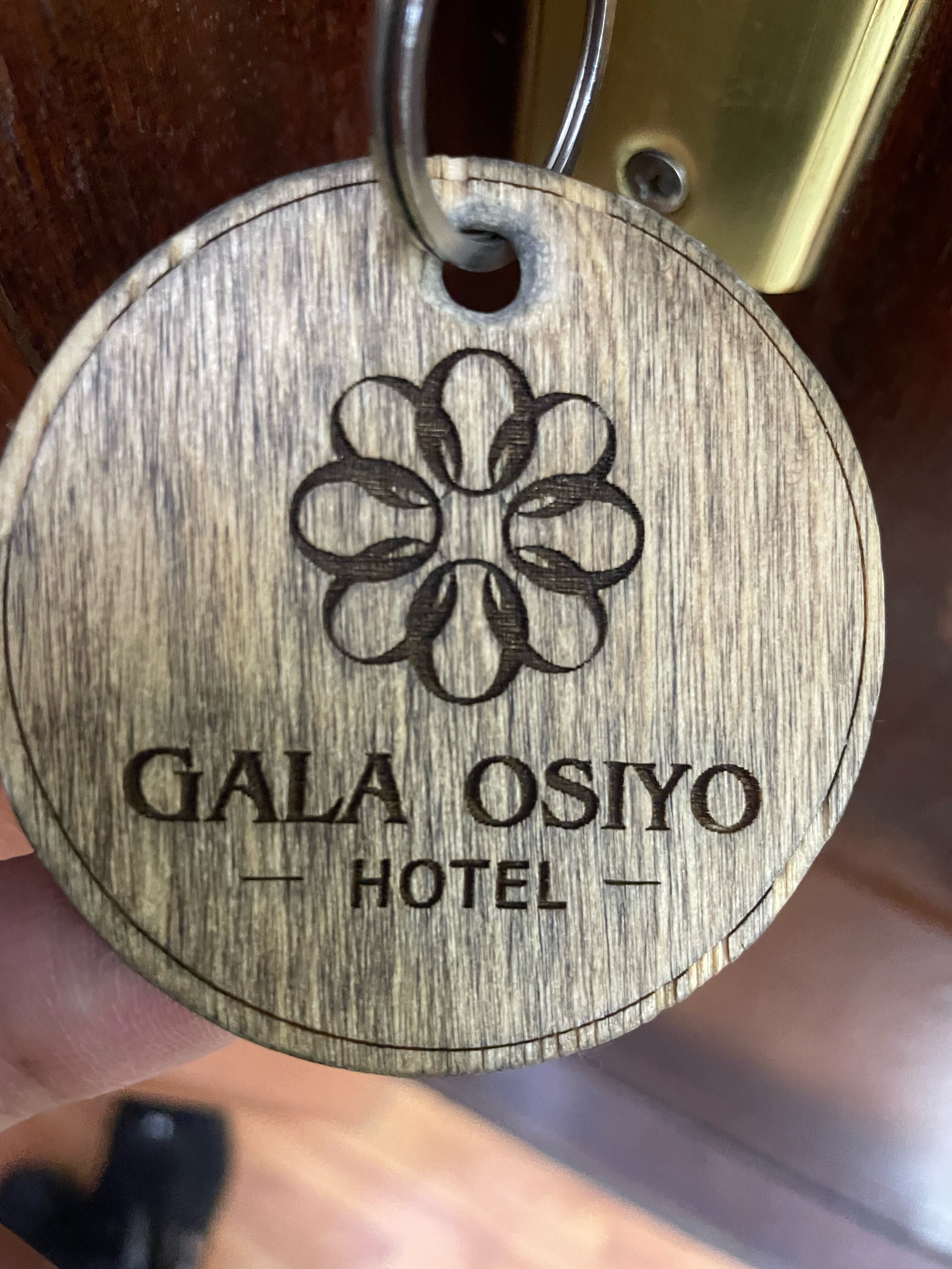 Фото Gala Osiyo Hotel