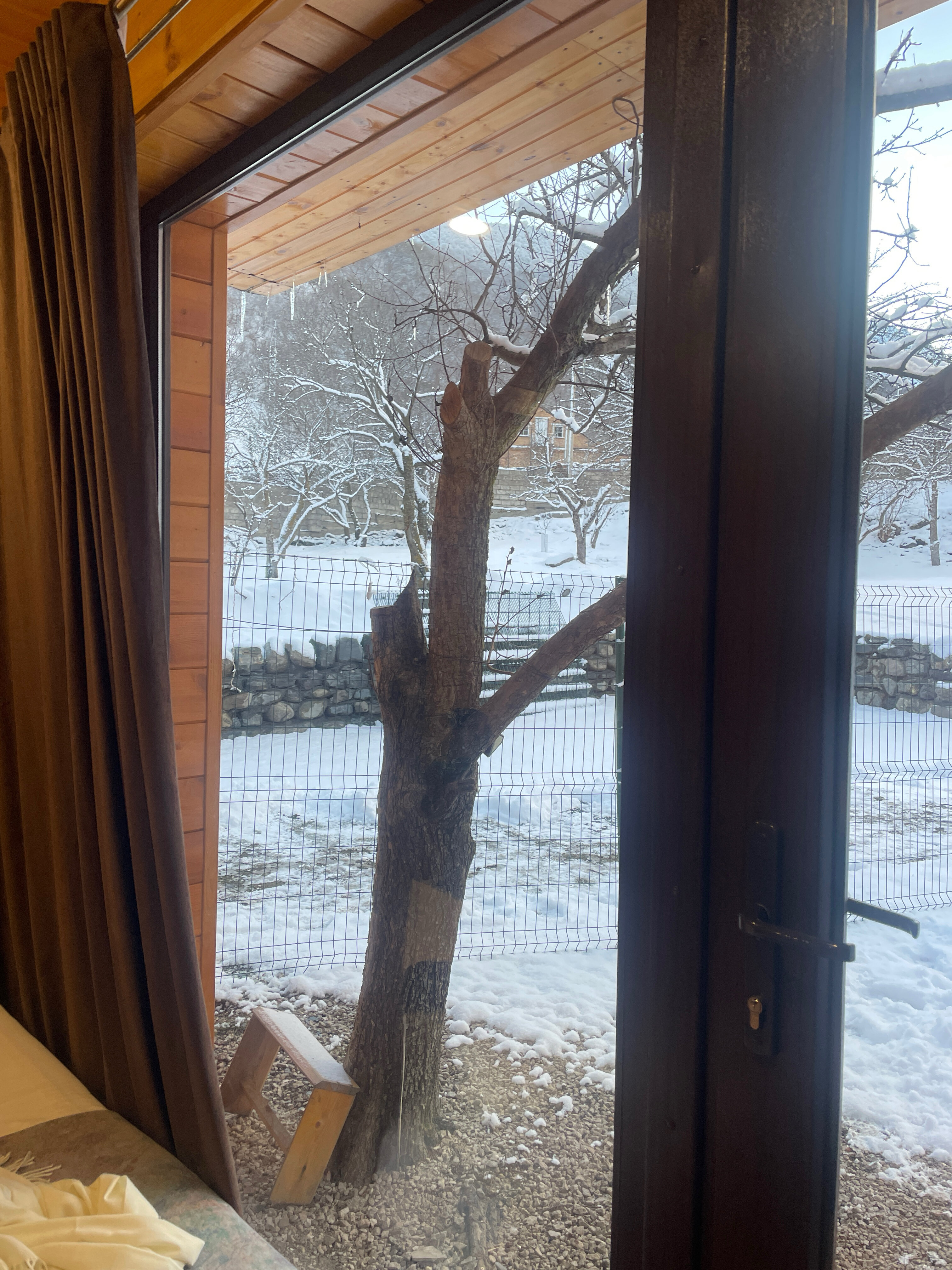 Фото Фруктовый Сад