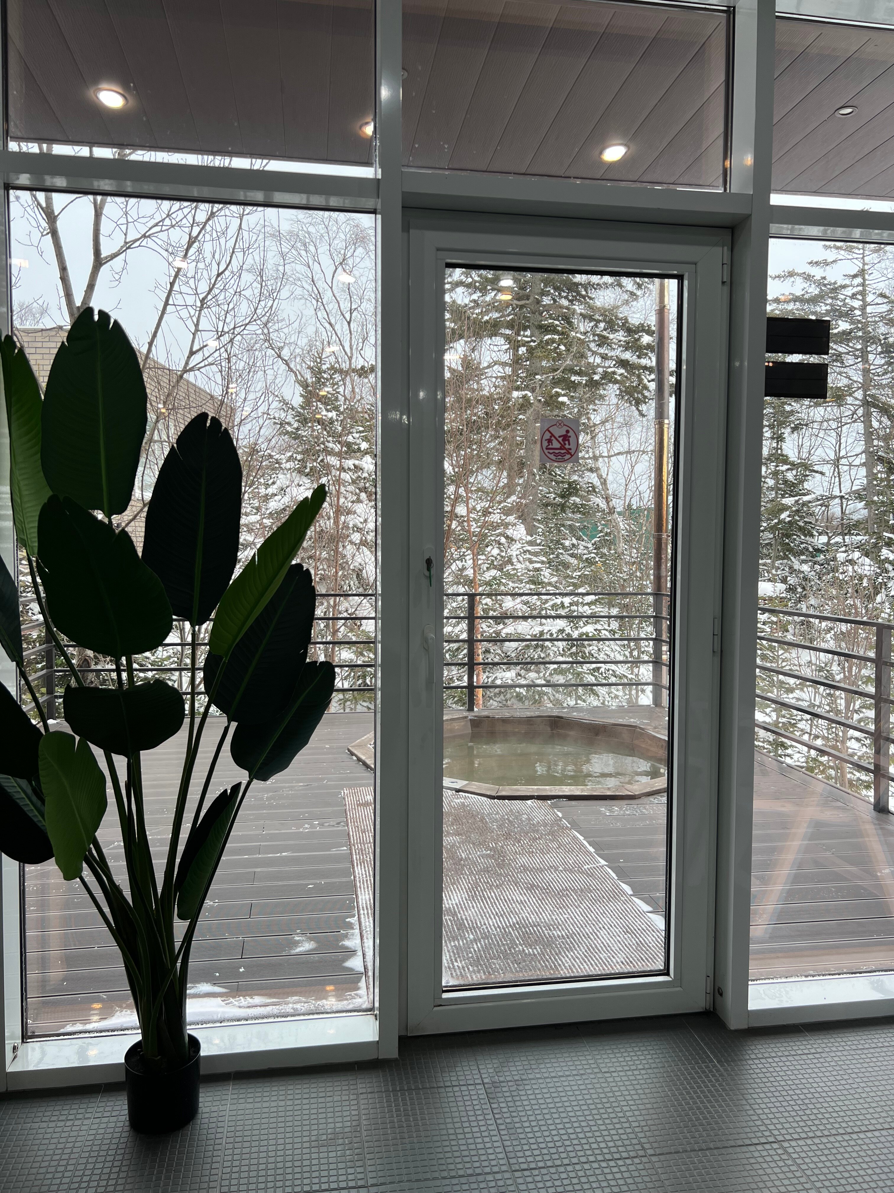 Фото Парк отель Паллада